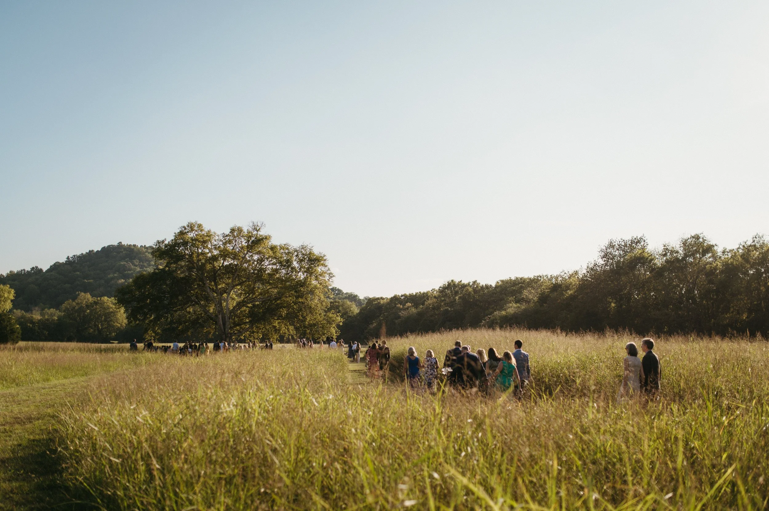 A group of people, dressed in formal attire, walking through a grassy field on a sunny day with clear skies, trees, and hills in the background.