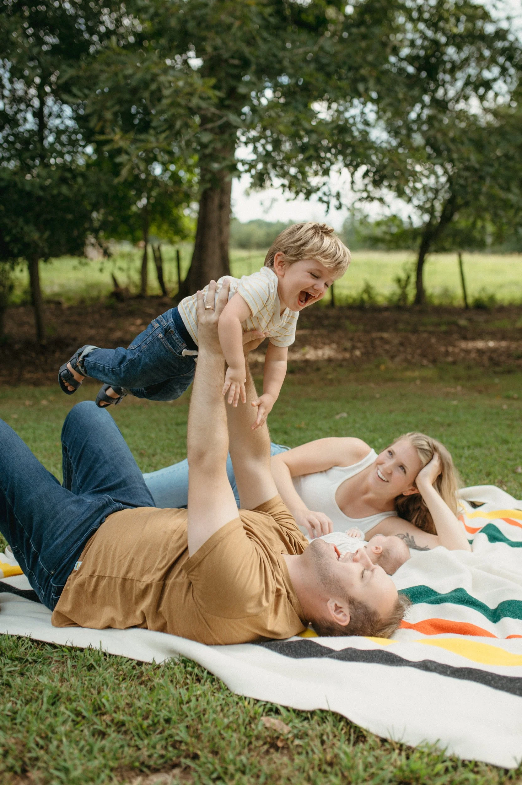 A family of four enjoying a picnic outdoors, with a young boy being lifted into the air by a man while a woman watches and smiles.