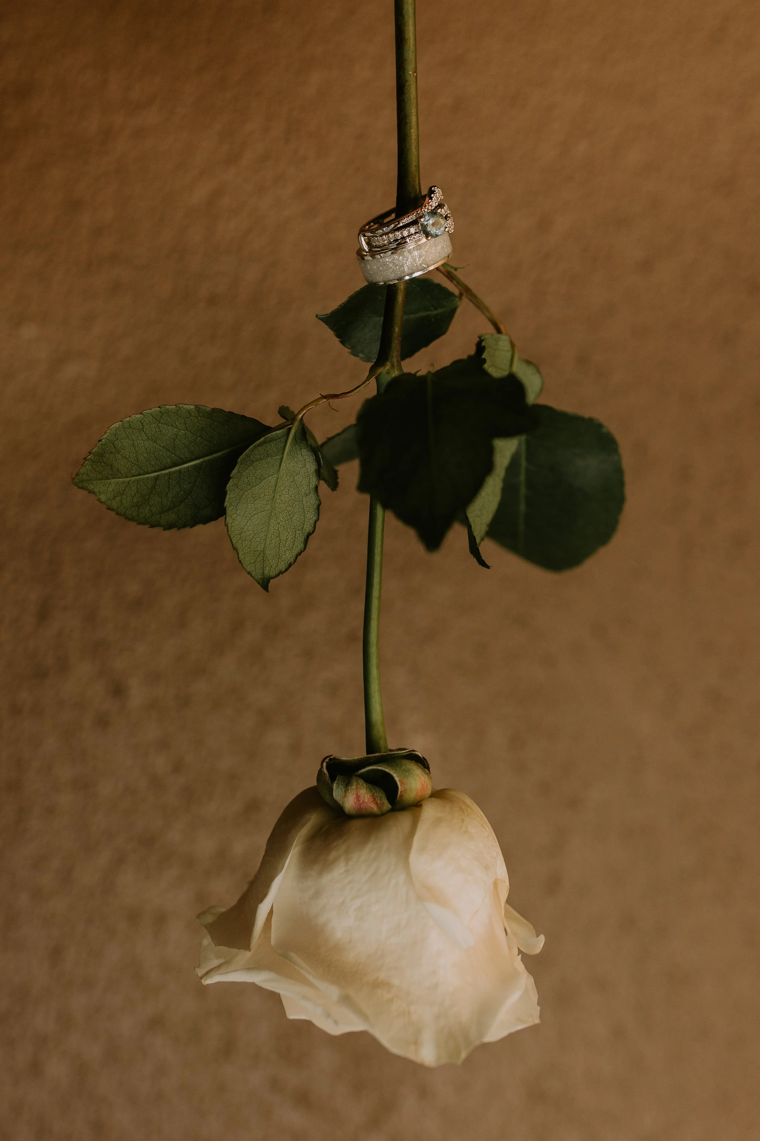 summerjohnreception-16.jpg