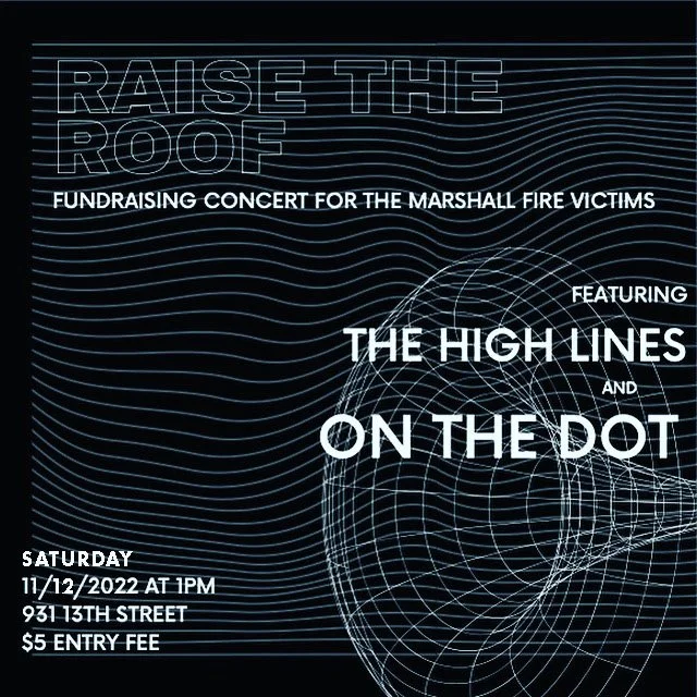 RaiseTheRoofHousePartyPoster.jpg