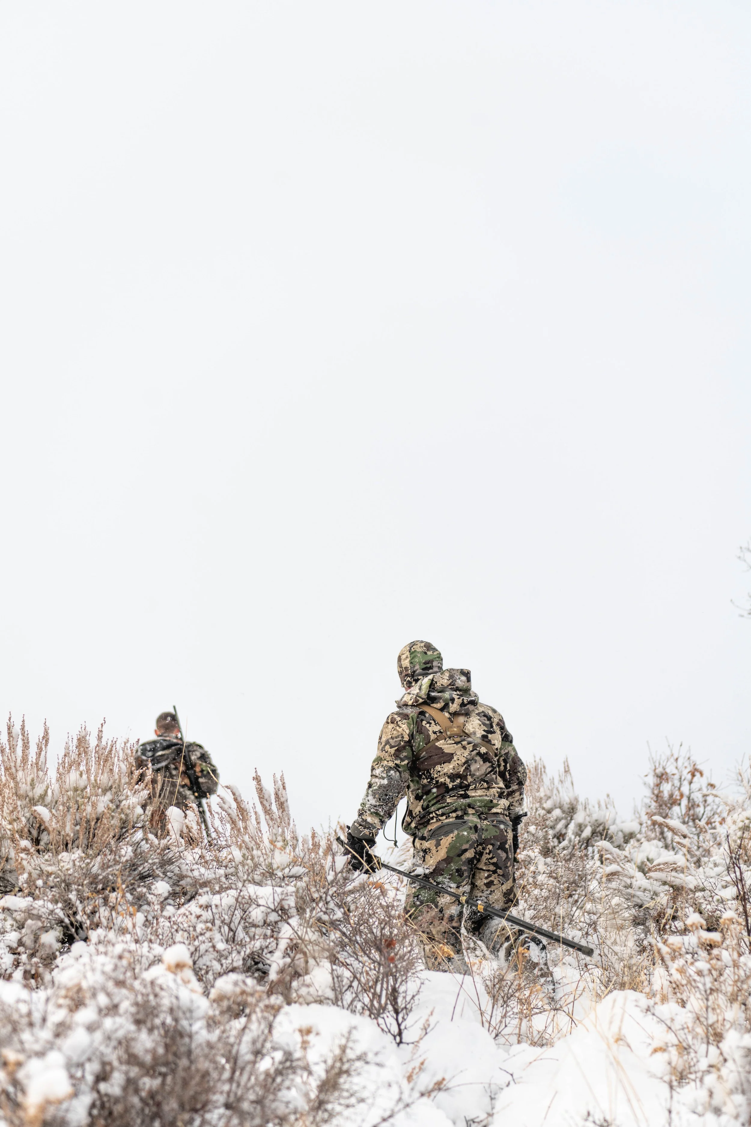 Guided hunting Colorado
