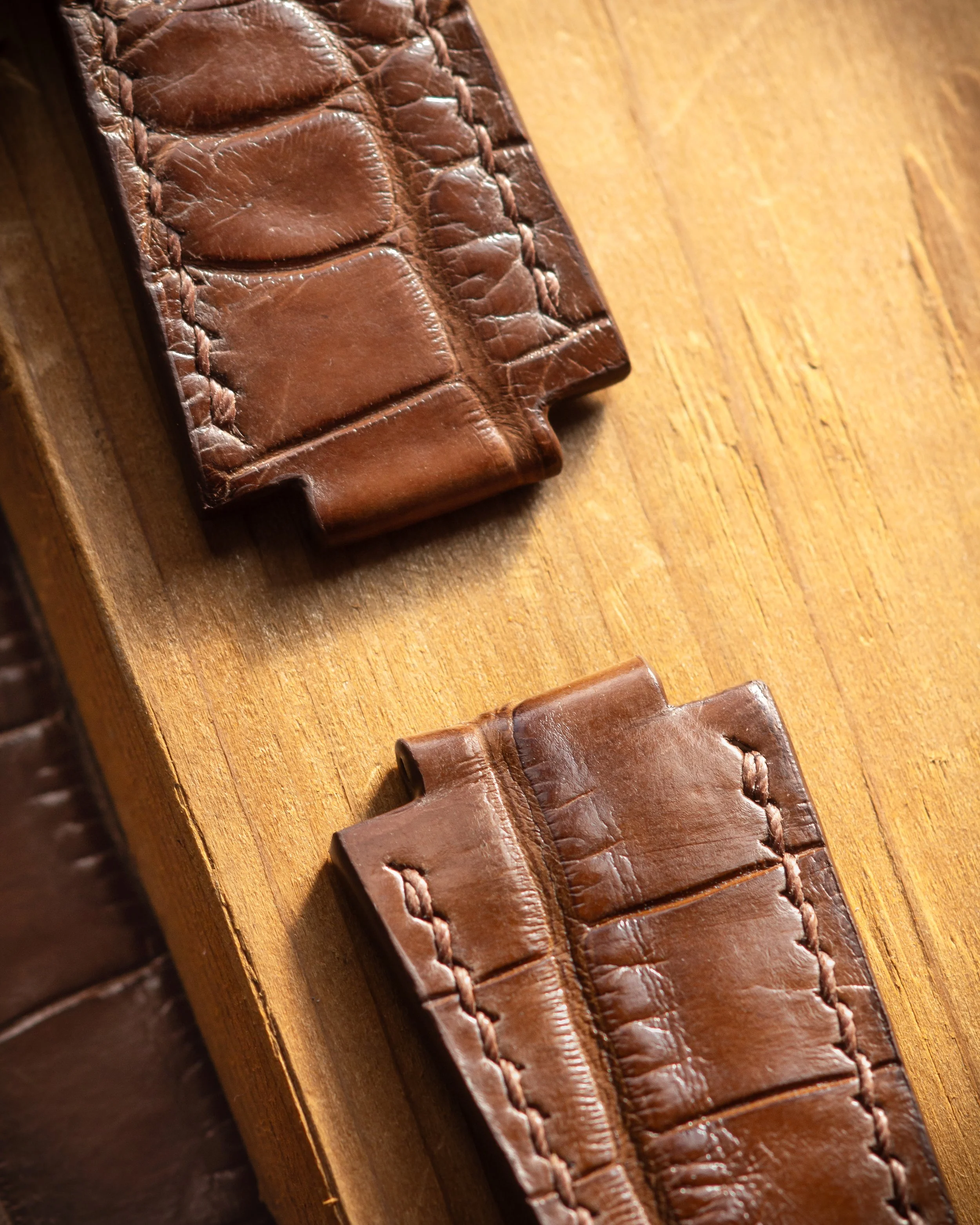 GP-brown-crocodile-08.jpg