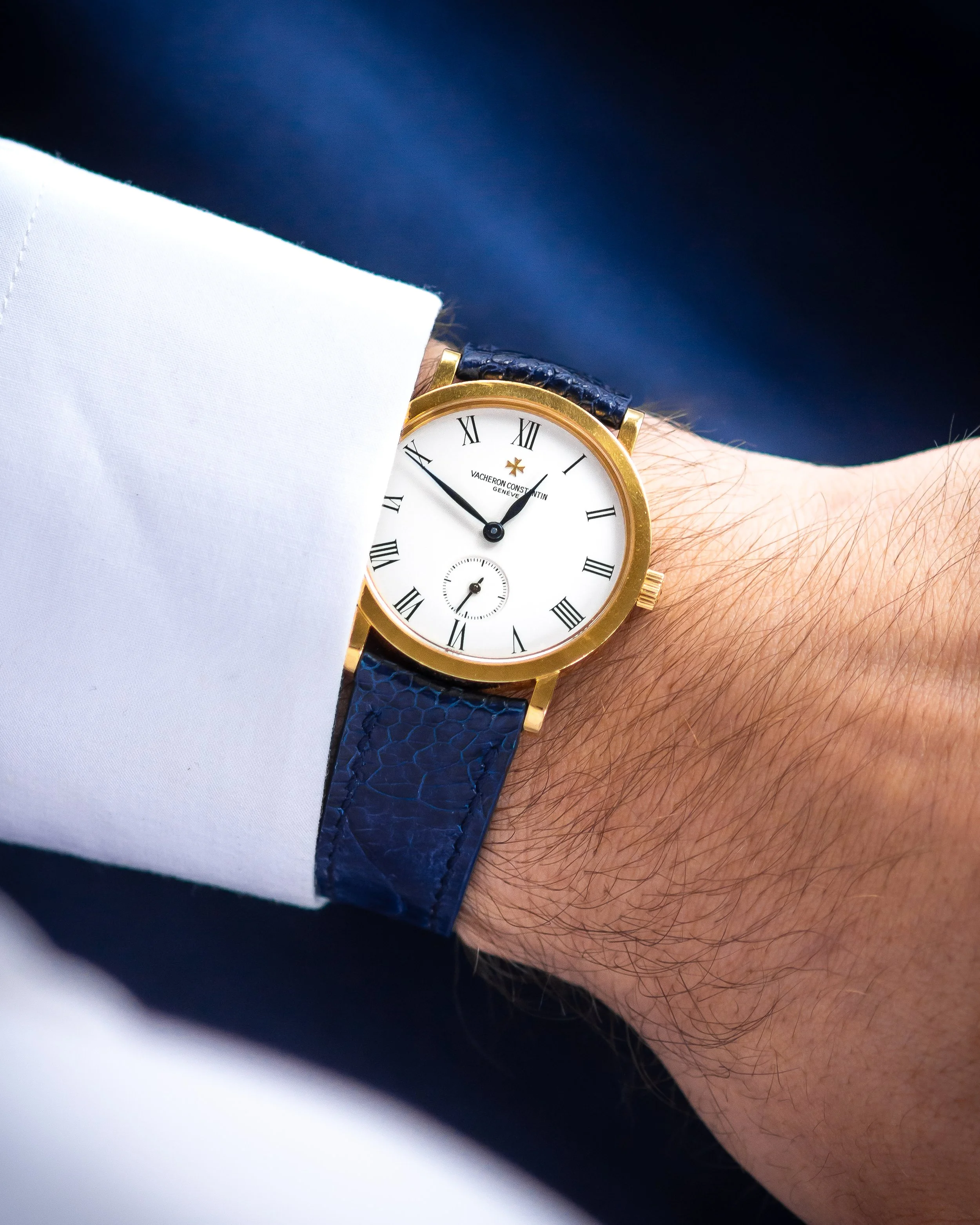 vc-Hblue ostrich-17.jpg