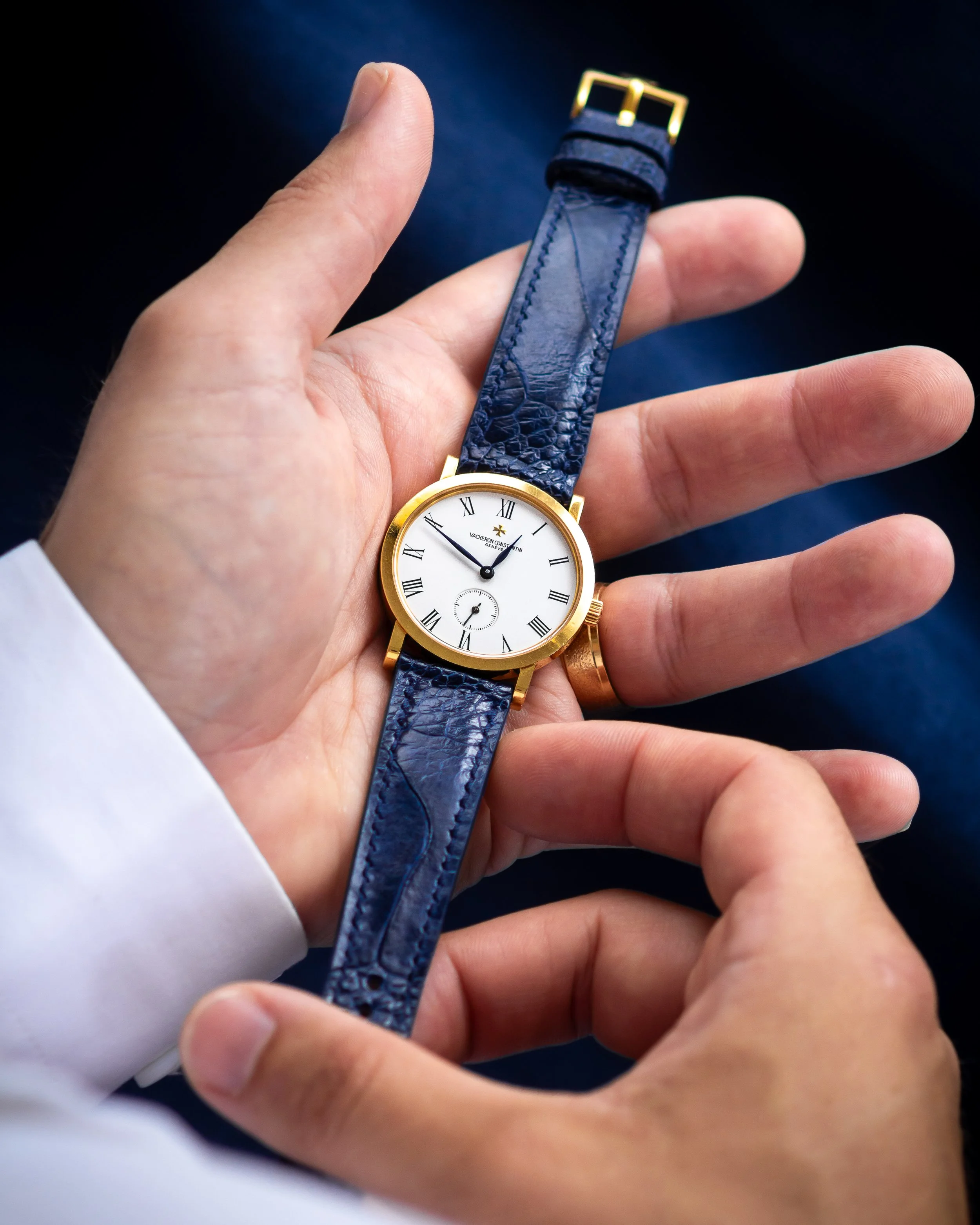 vc-Hblue ostrich-11.jpg