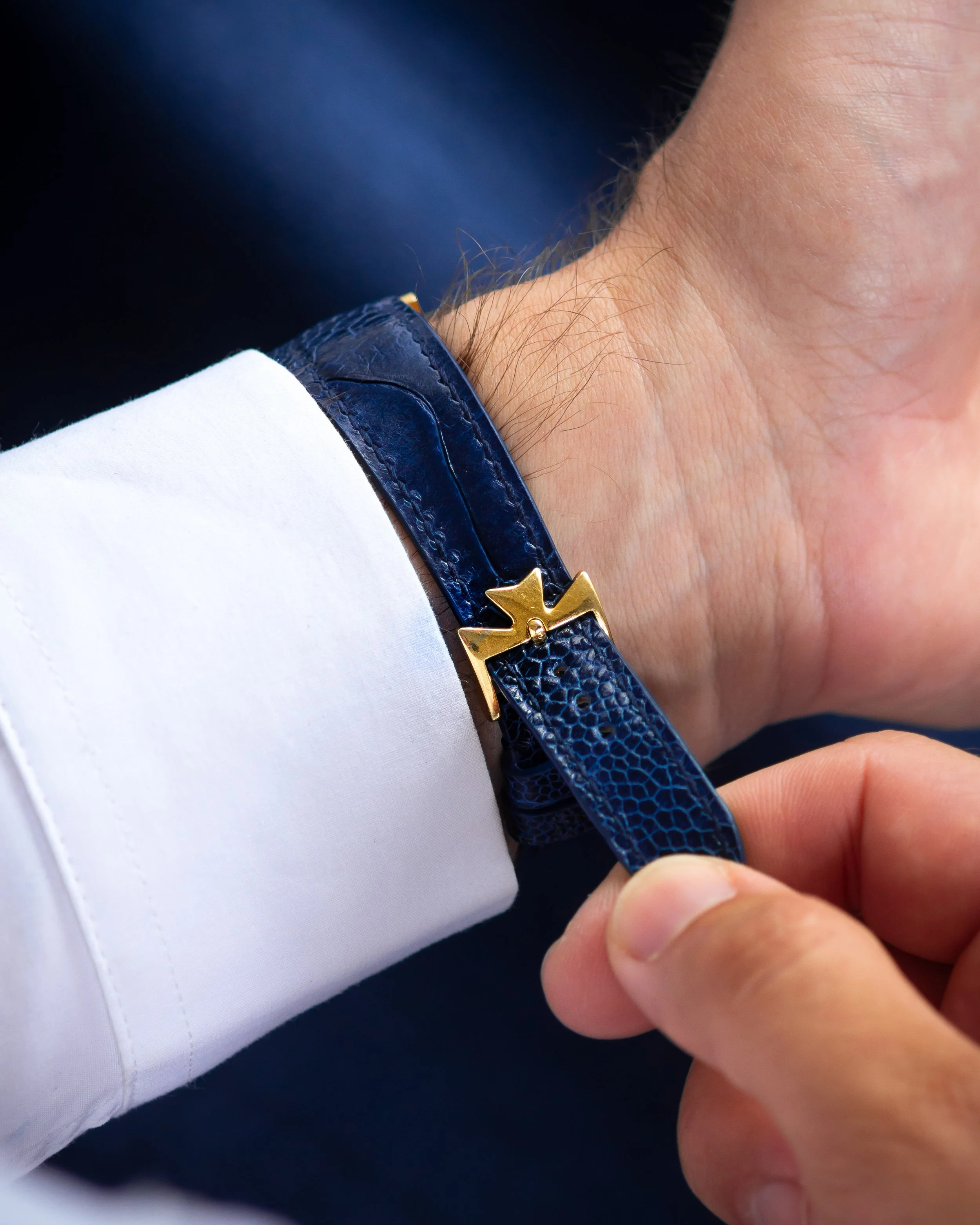 vc-Hblue ostrich-16.jpg