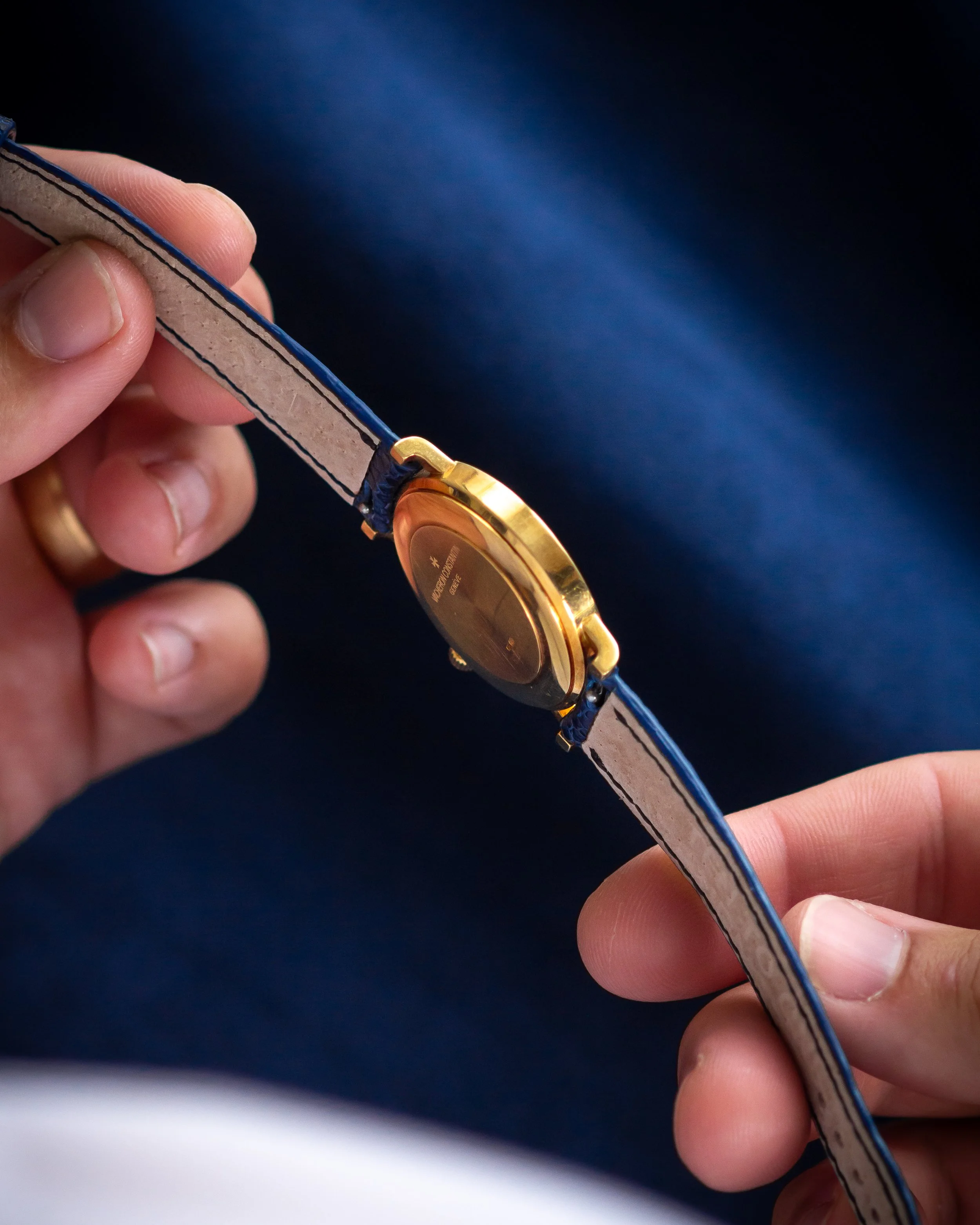 vc-Hblue ostrich-14.jpg