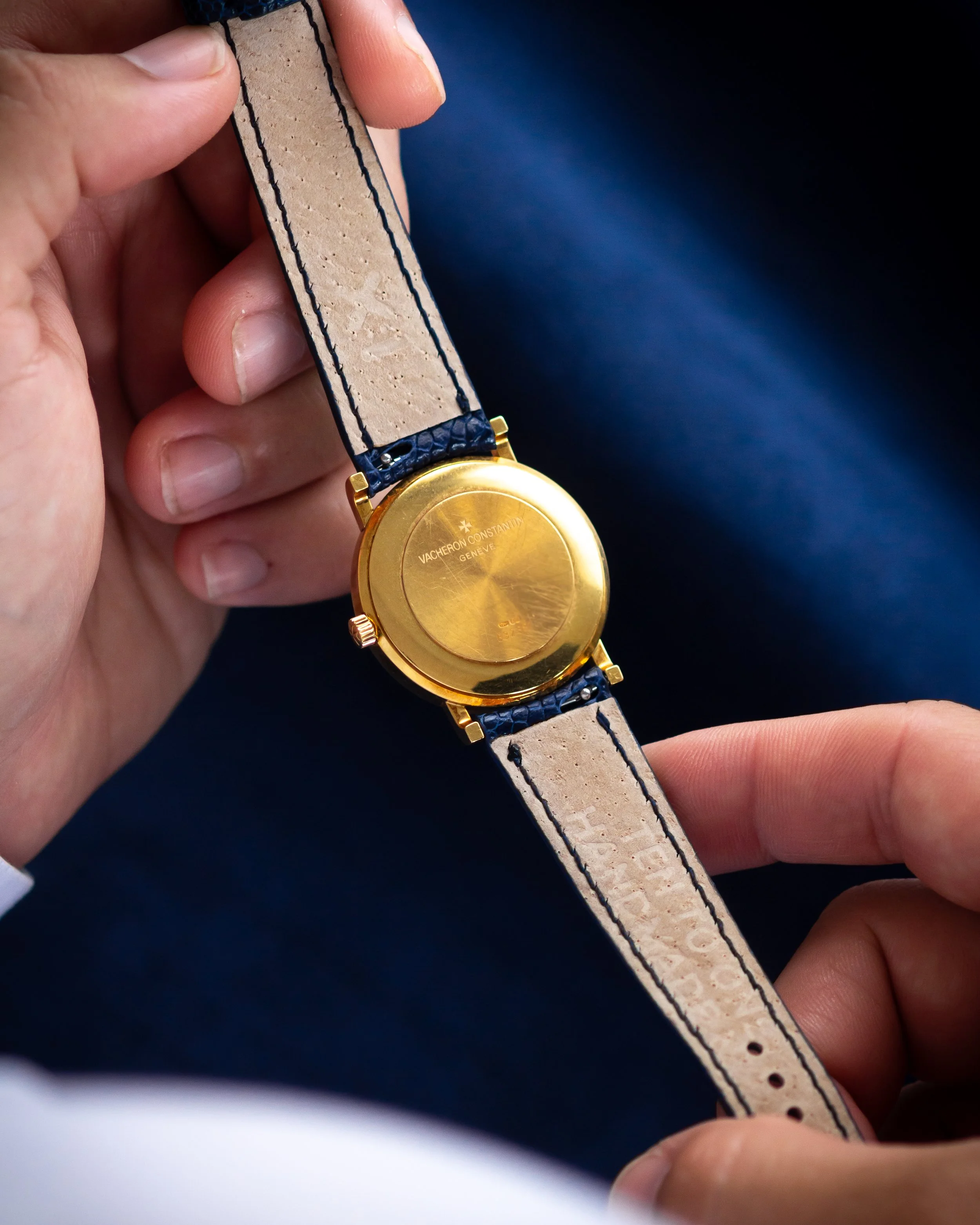 vc-Hblue ostrich-13.jpg