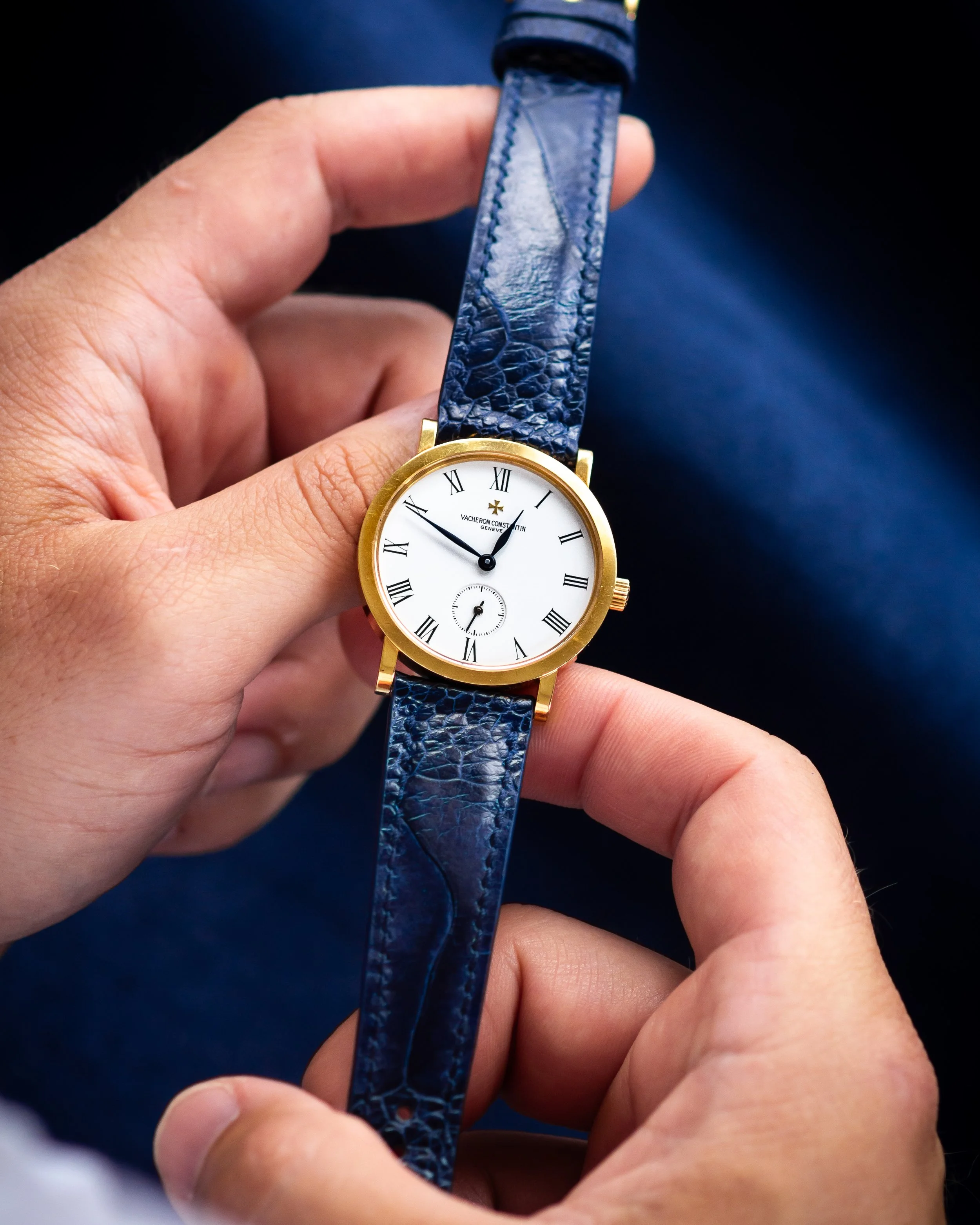 vc-Hblue ostrich-12.jpg