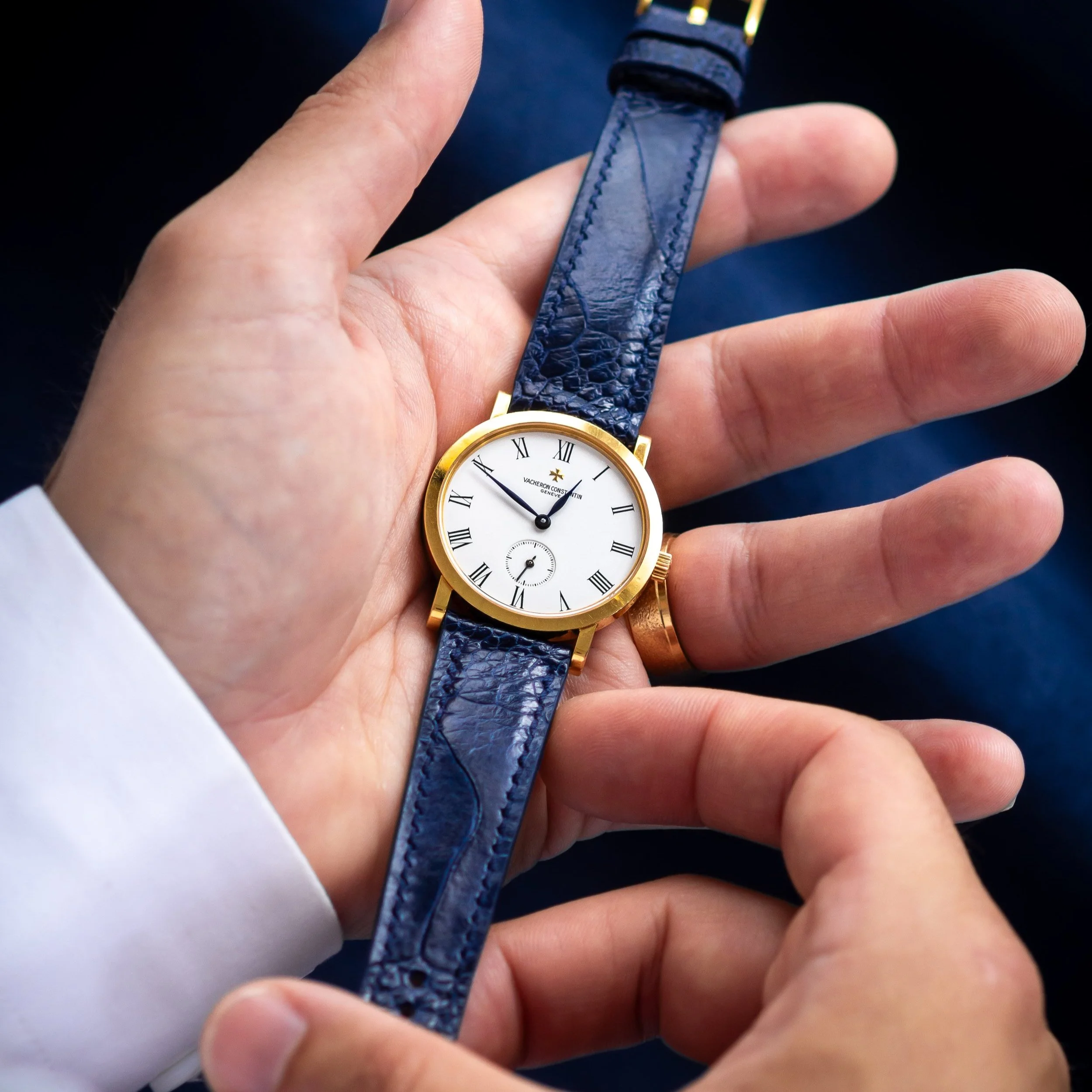 Hydrangea blue ostrich for the Vacheron Patrimony