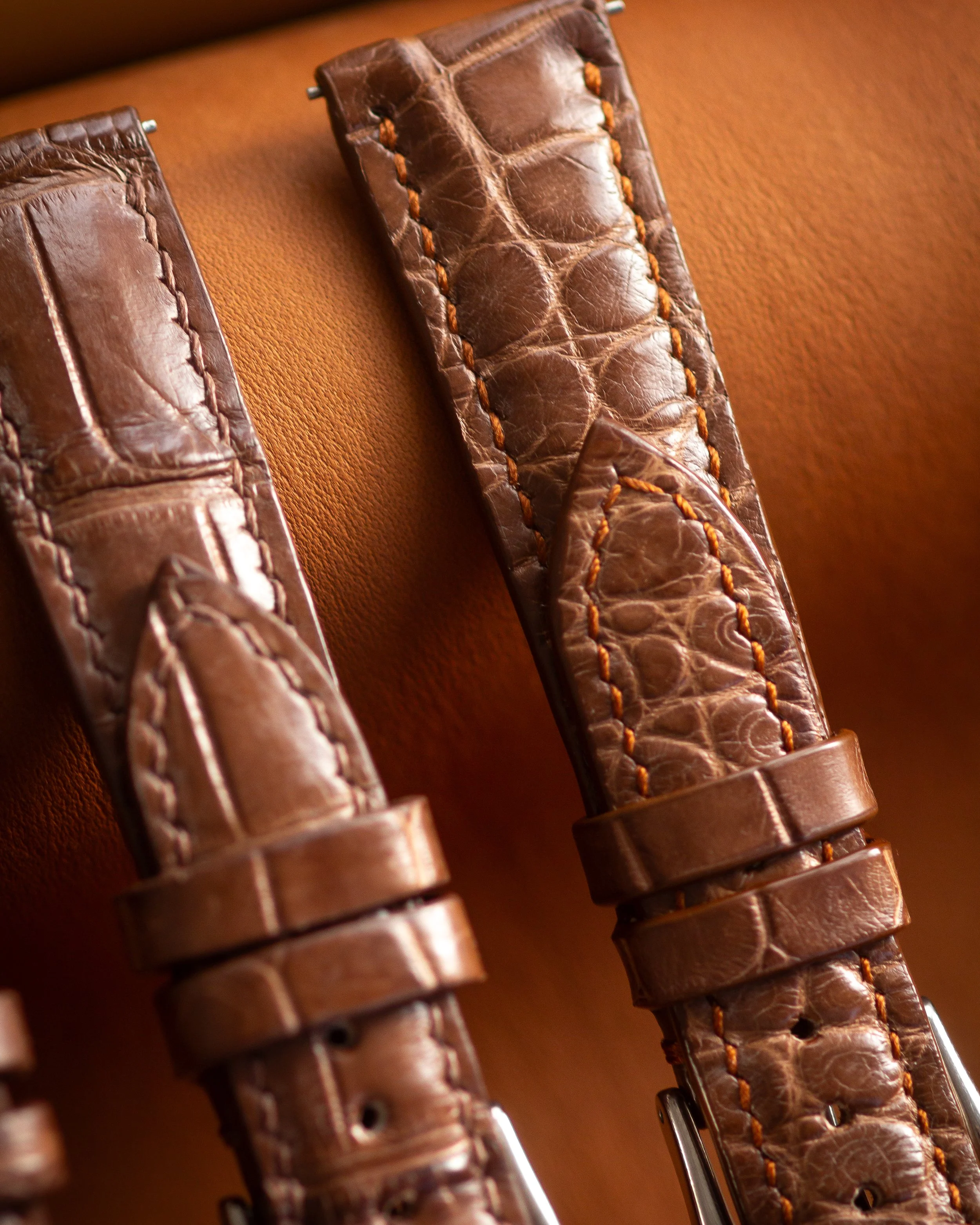 four_nile_croc -3.jpg