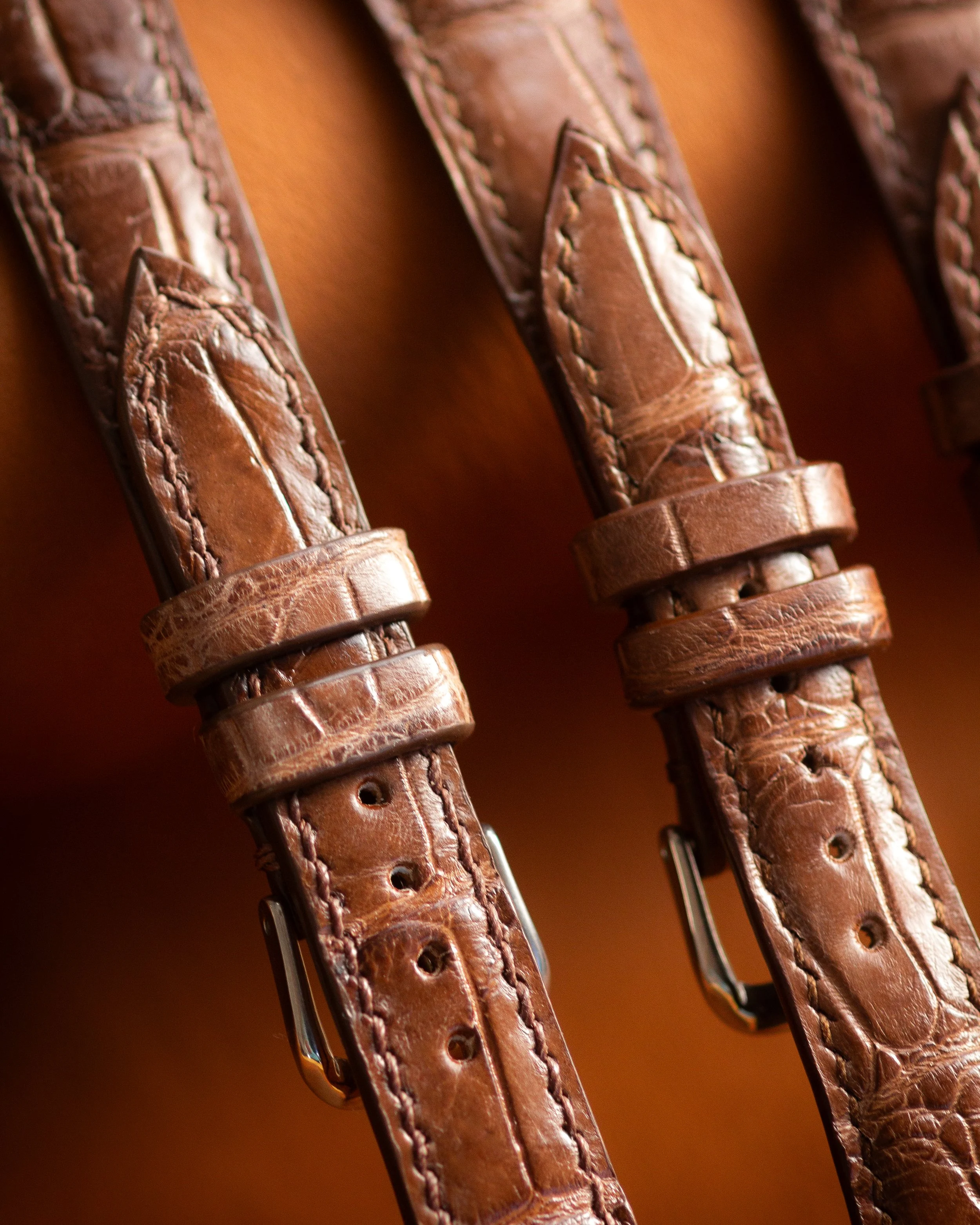 four_nile_croc -2.jpg