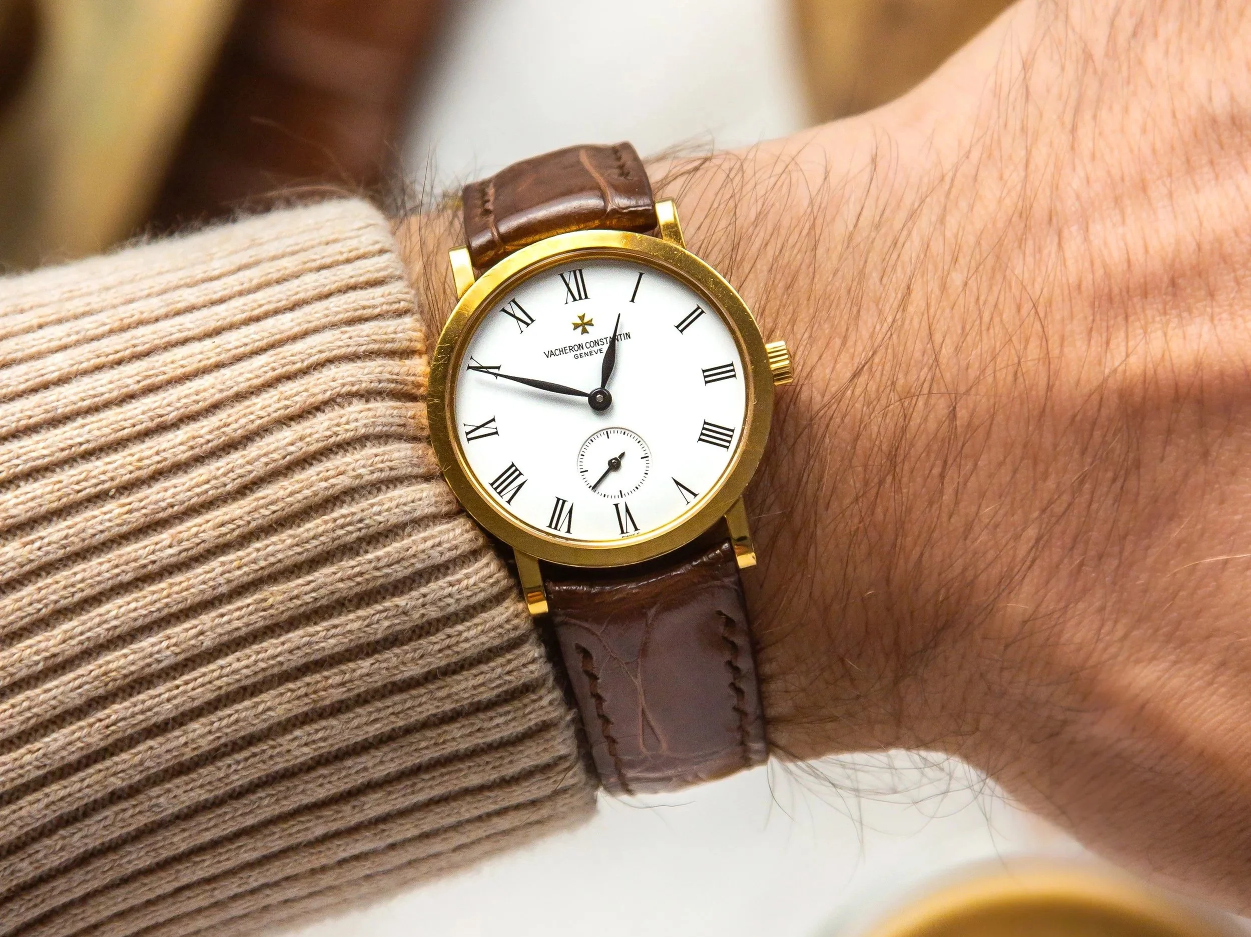 Nile Crocodile for the VC Patrimony