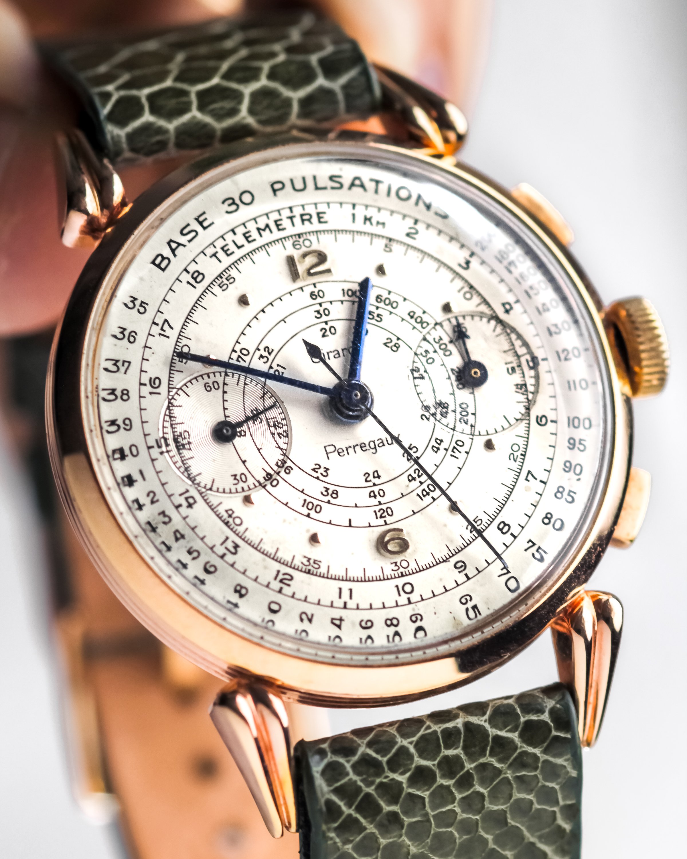 GP-olive-ostrich-5.jpg