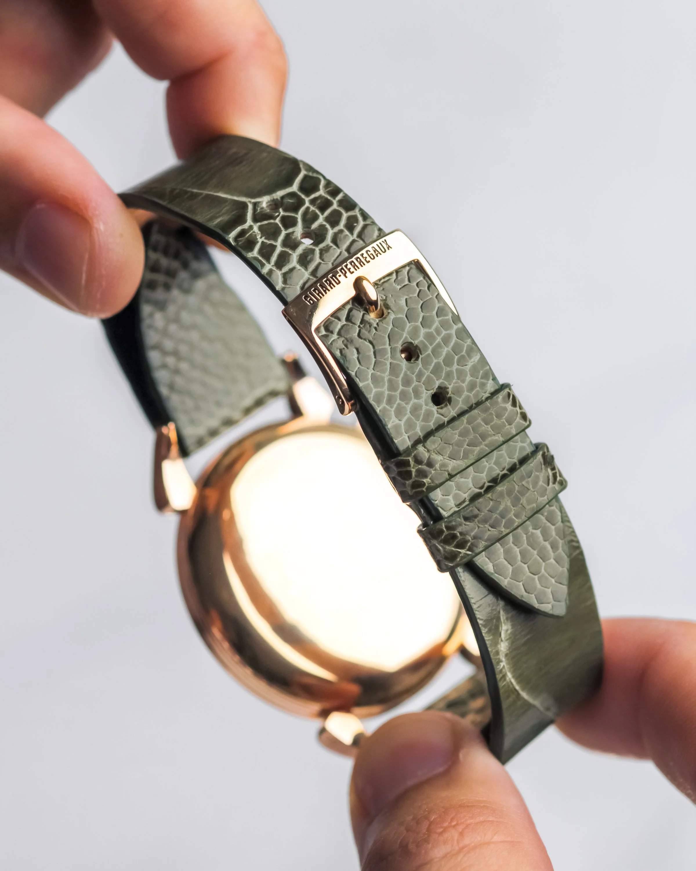 GP-olive-ostrich-4.jpg
