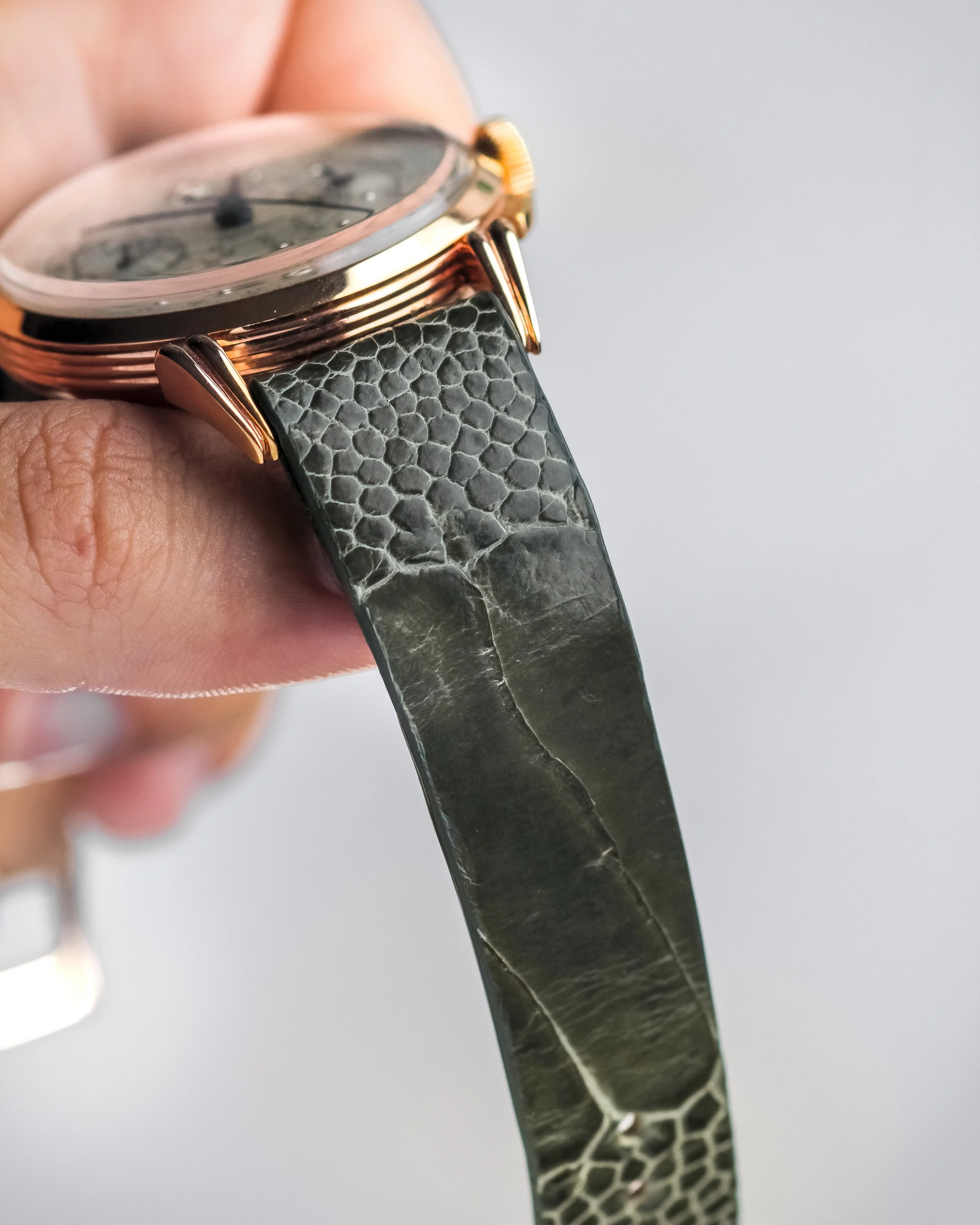 GP-olive-ostrich-3.jpg