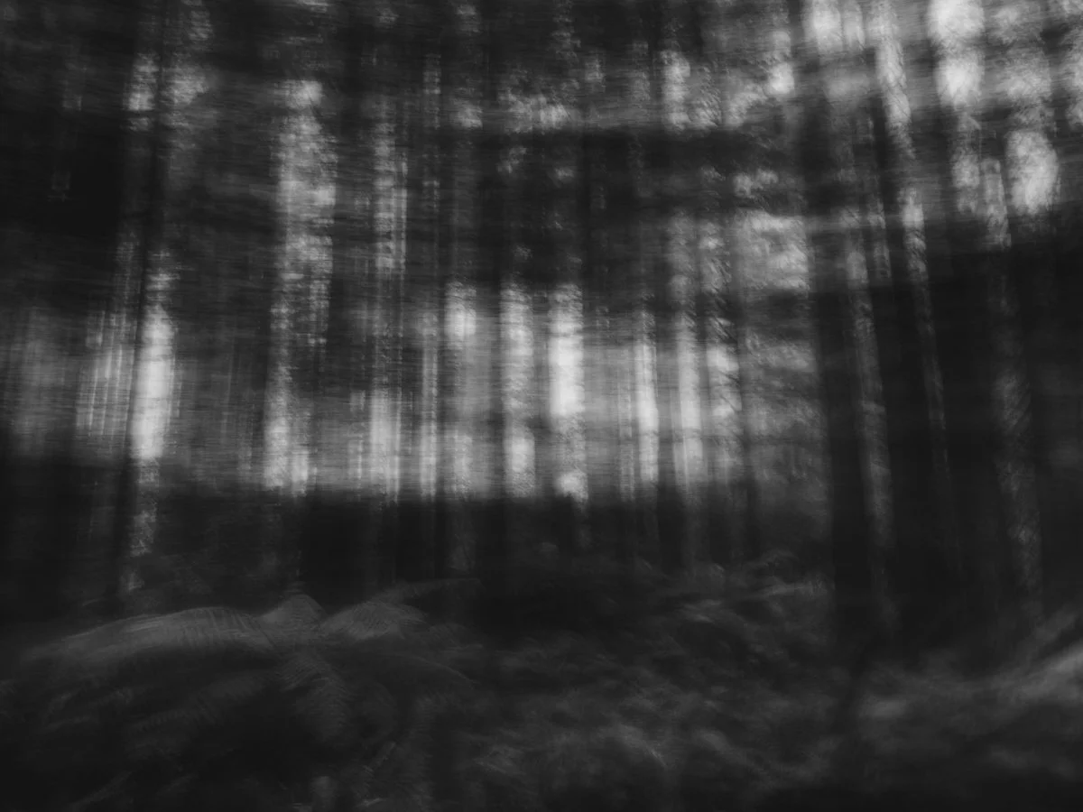 black and white blurred landscape, mobile photography