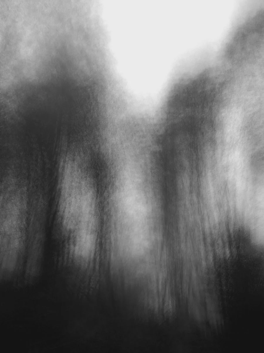 black and white blurred landscape, mobile photography