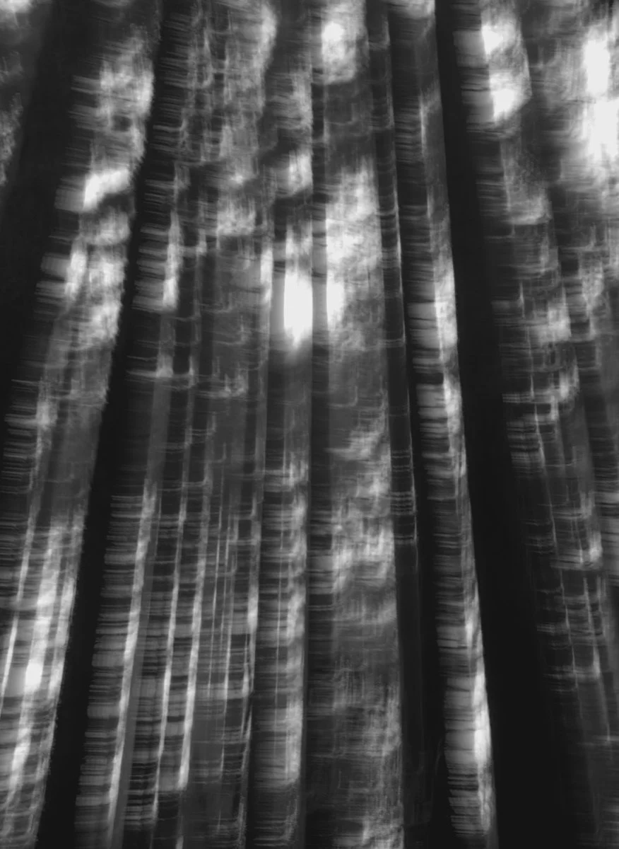 black and white blurred landscape, mobile photography