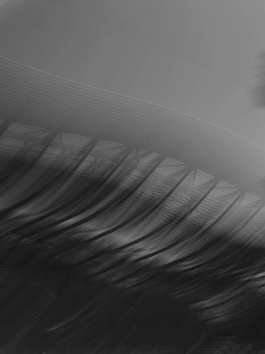 Knowing the Unknown series, 2024