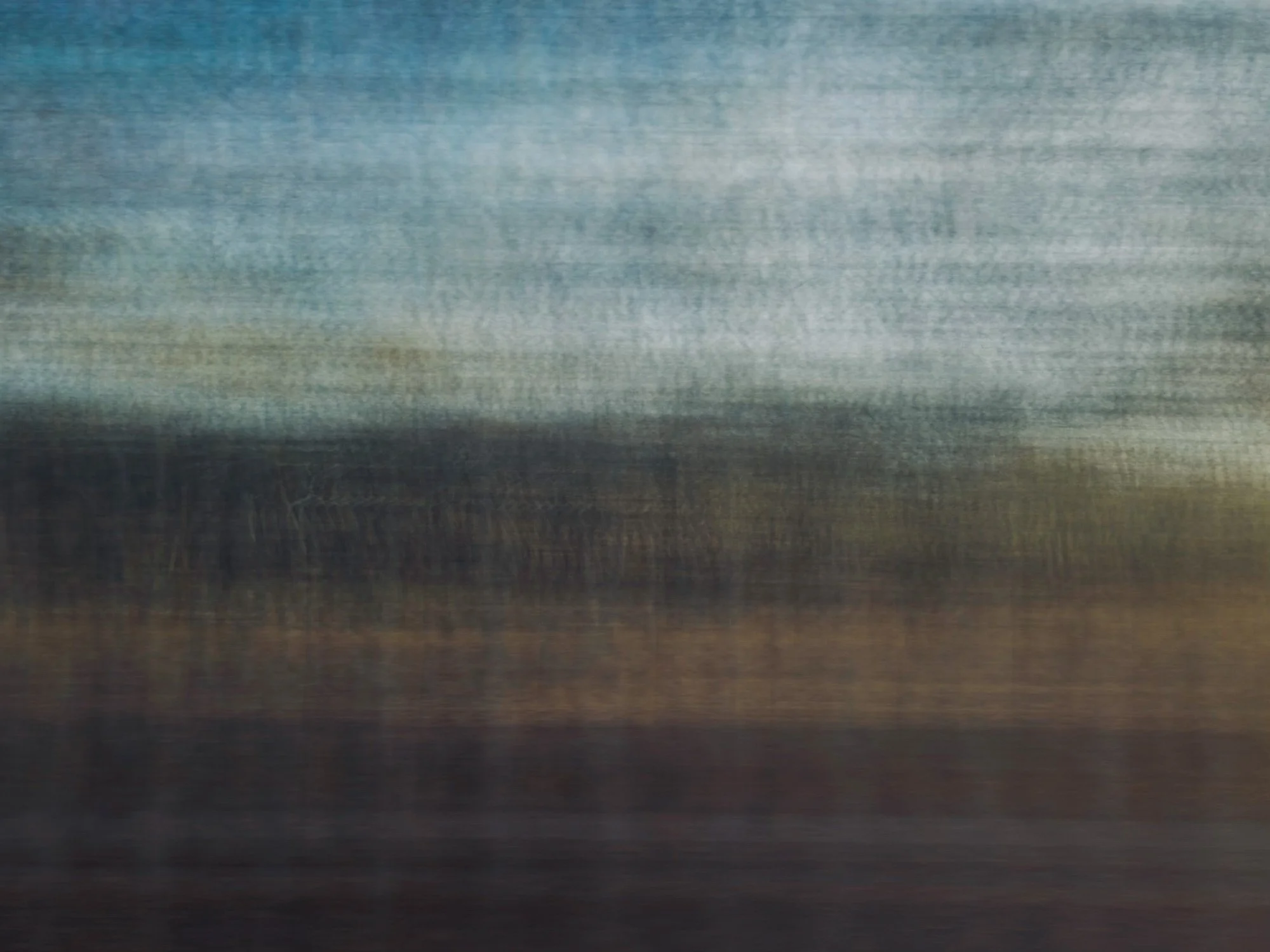 blurred treeline landscape on board v/line train from bendigo