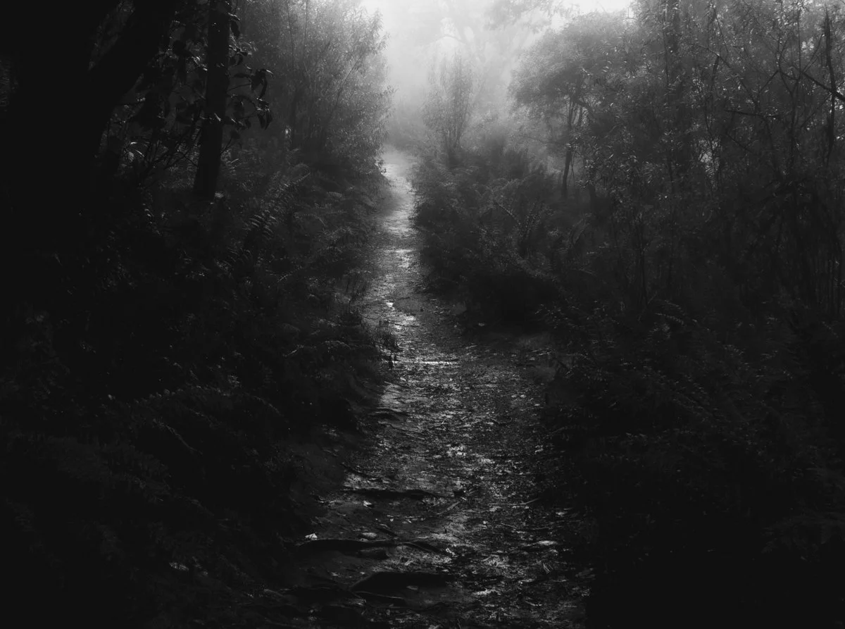 black and white landscape, pathway and foggy
