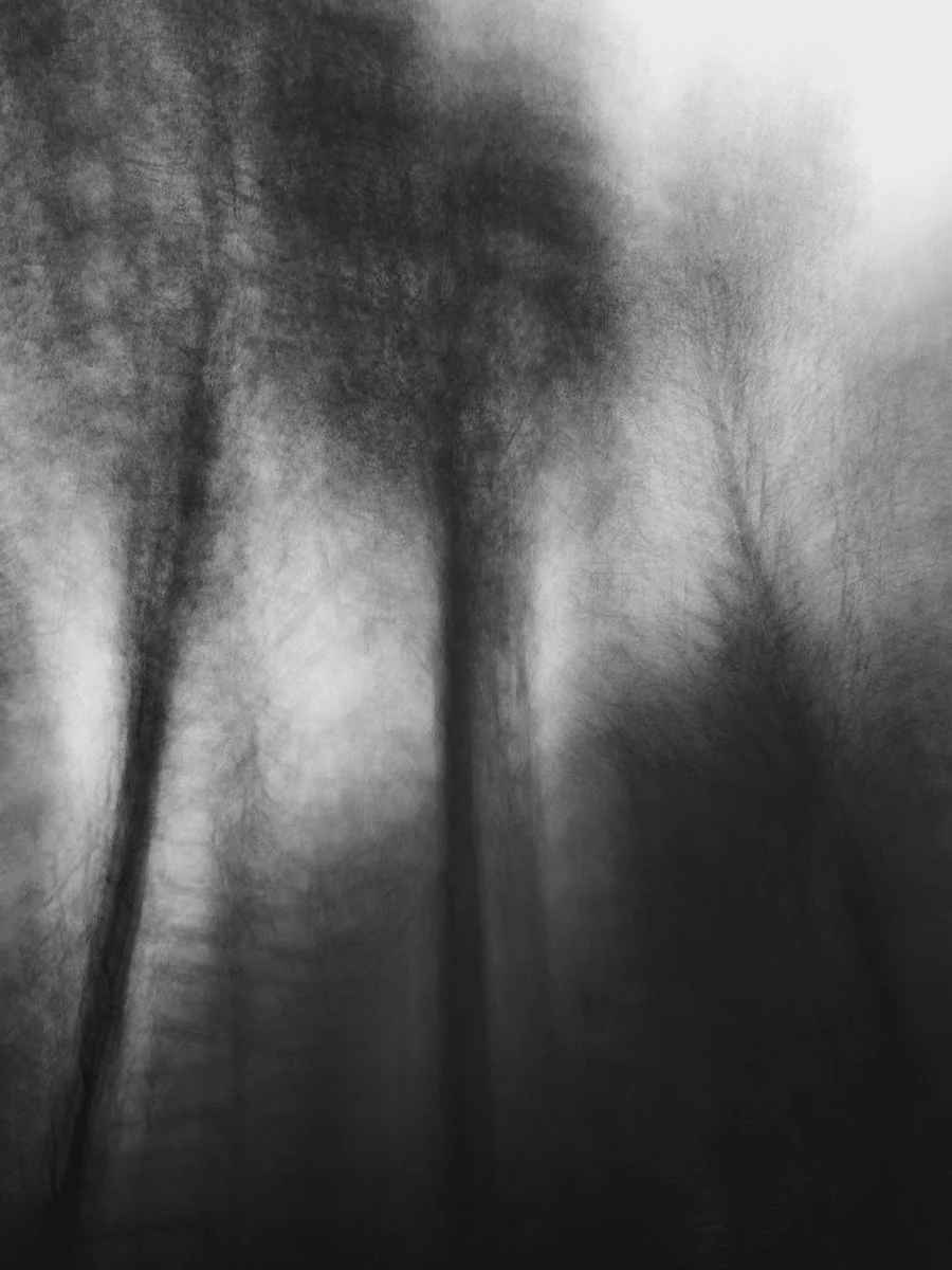 black and white blurred landscape, mobile photography