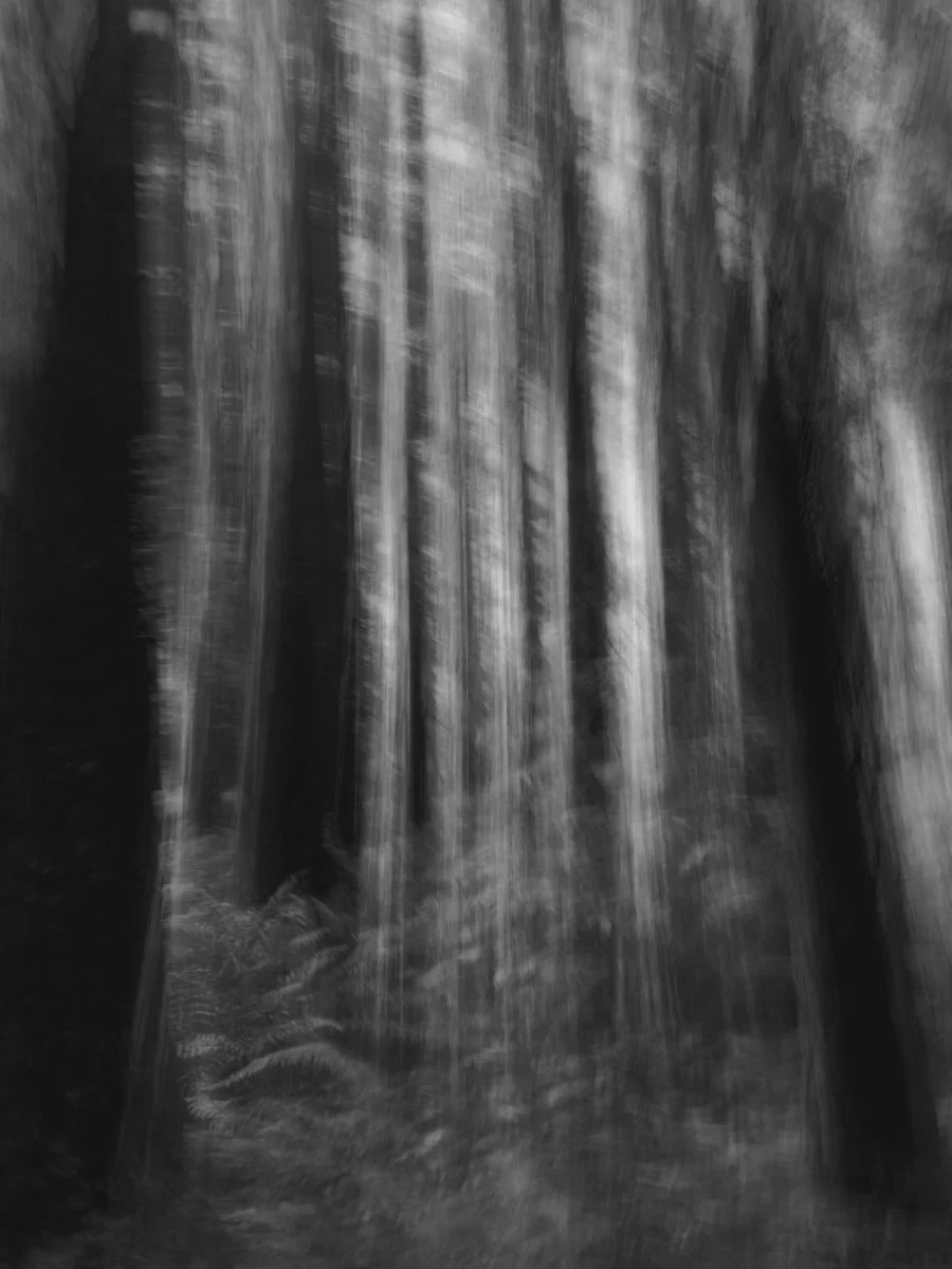 black and white blurred landscape, mobile photography