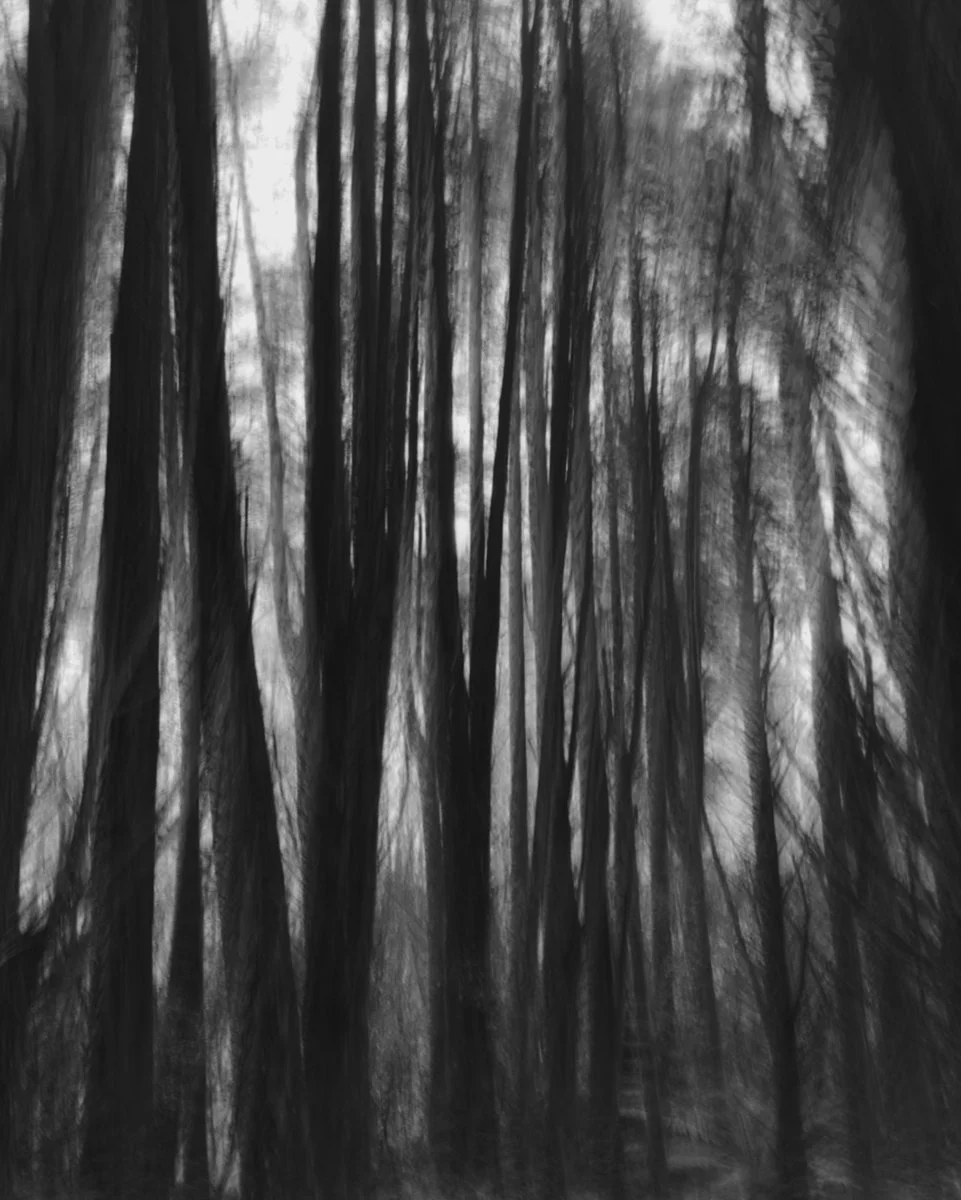 black and white blurred landscape, mobile photography