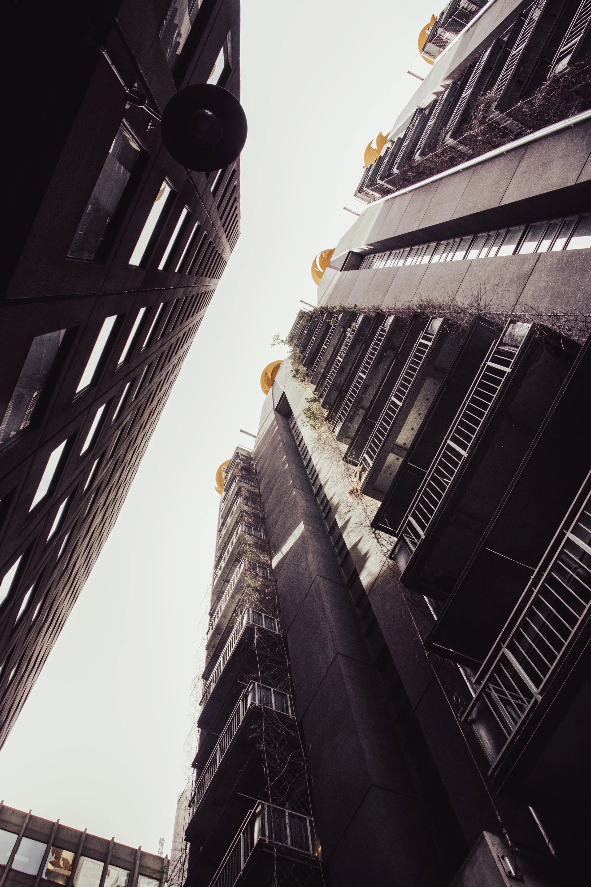 street photography looking up