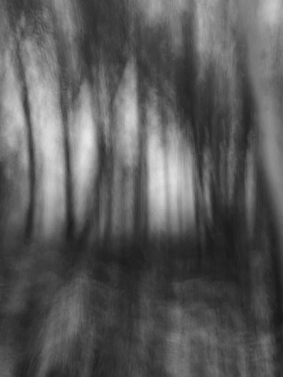 black and white blurred landscape, mobile photography