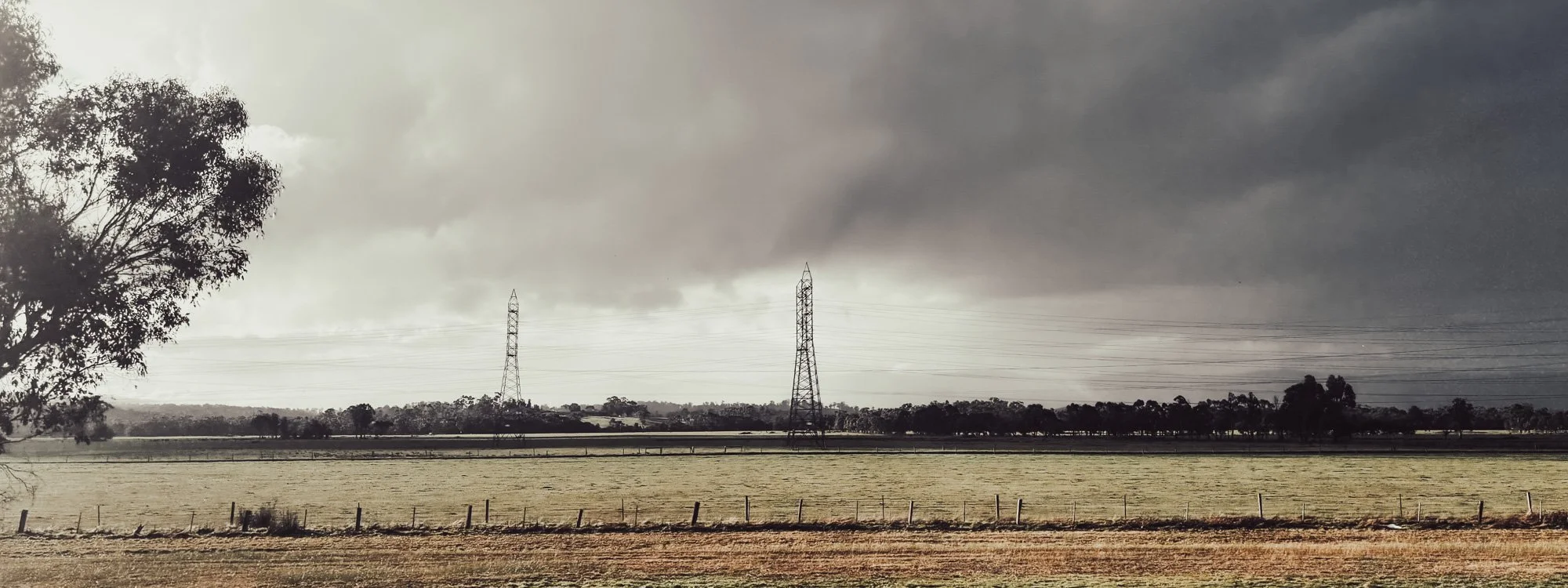 overcast landscape with power lines in background