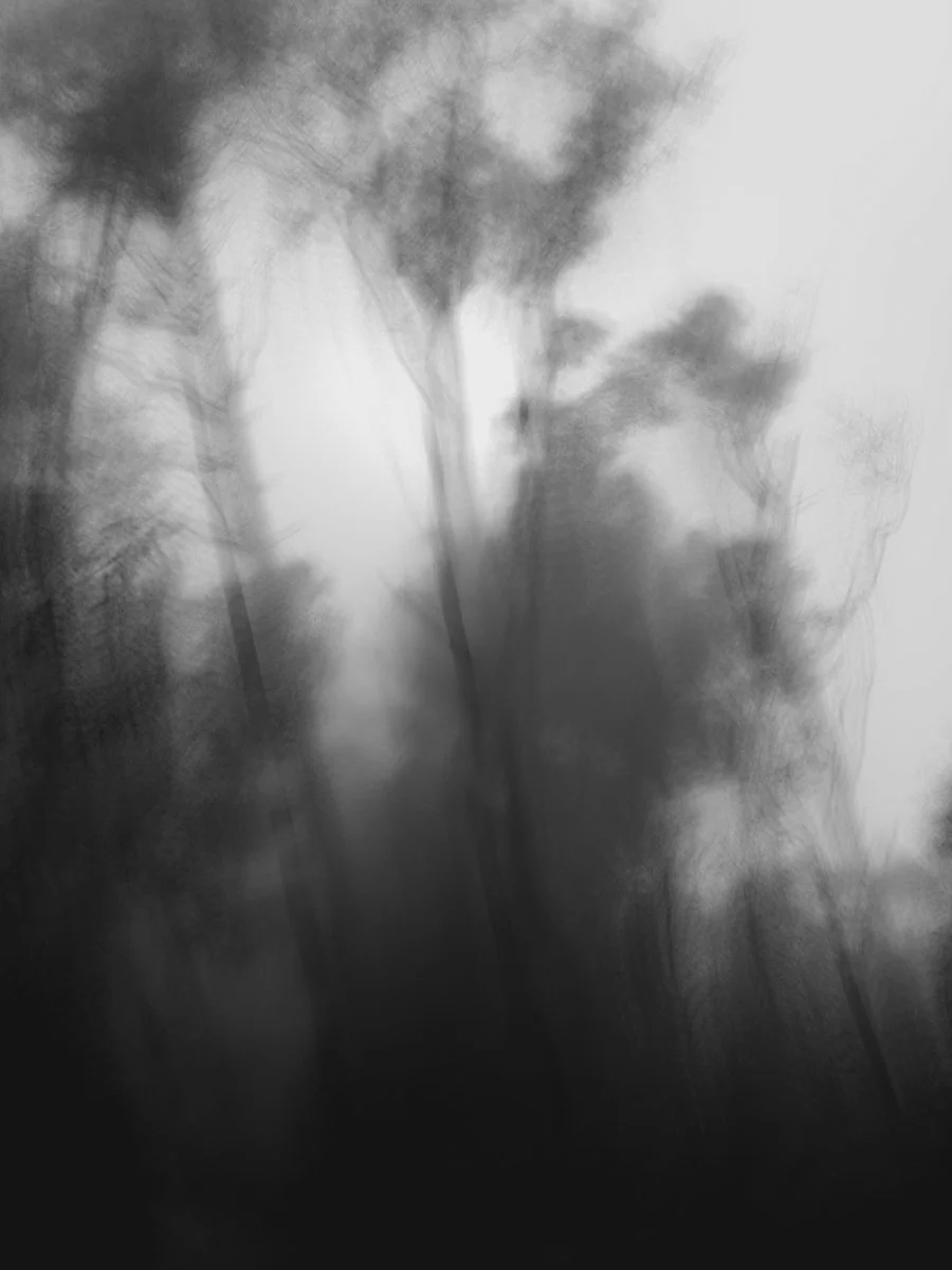 black and white blurred landscape, mobile photography