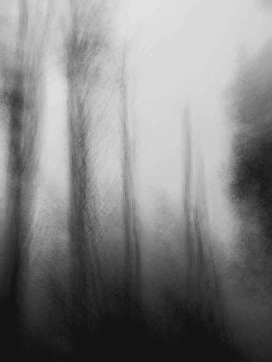 black and white blurred landscape, mobile photography