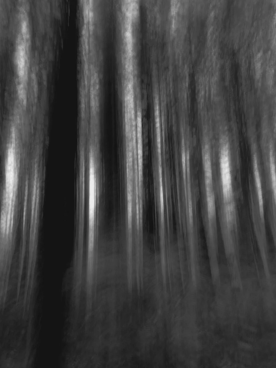 black and white blurred landscape, mobile photography