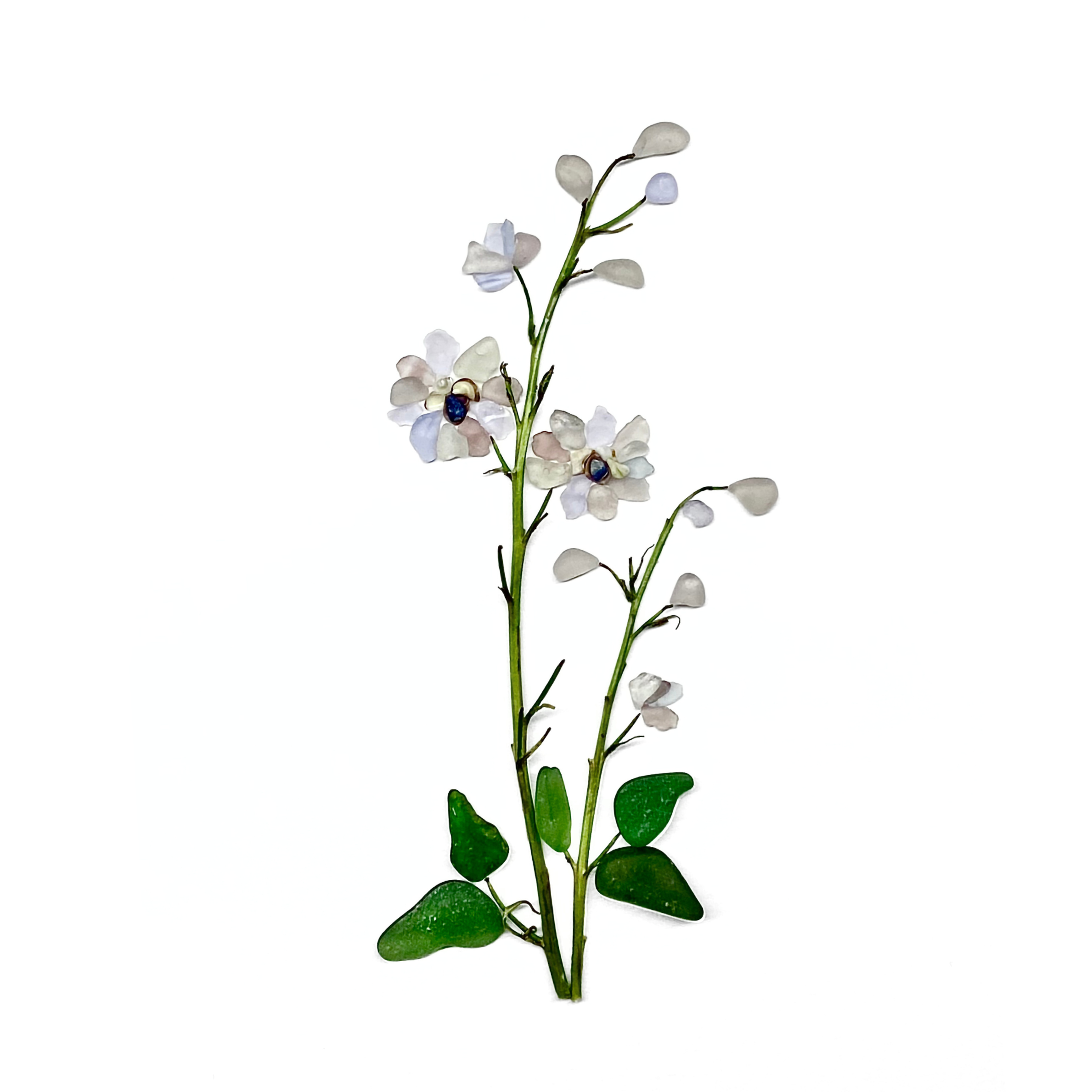 Tall blue, lavender and white sea glass delphinium with green leaves on a white background.