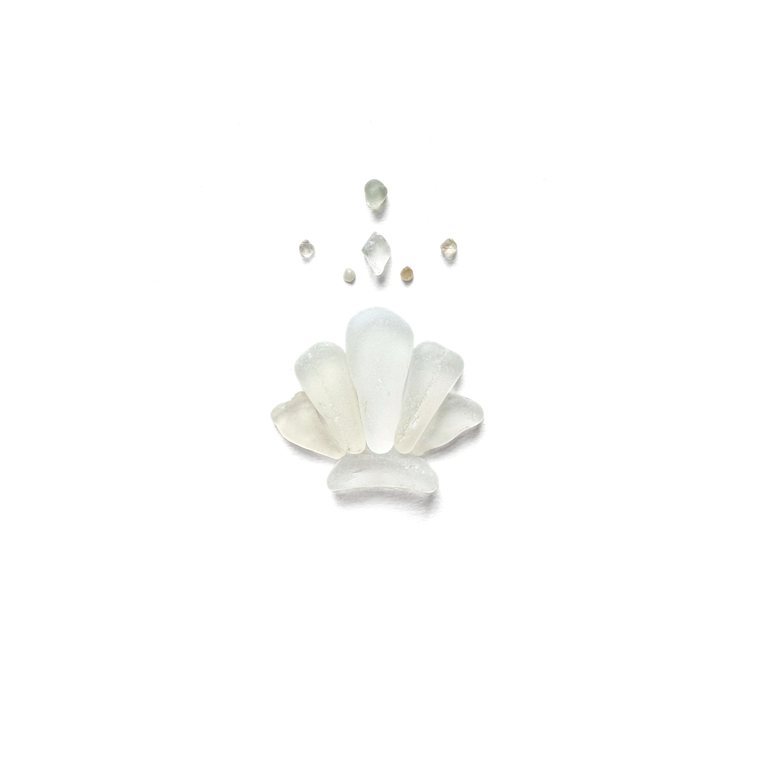 White sea glass shell releasing a delicate trail of bubbles against a minimalist background.