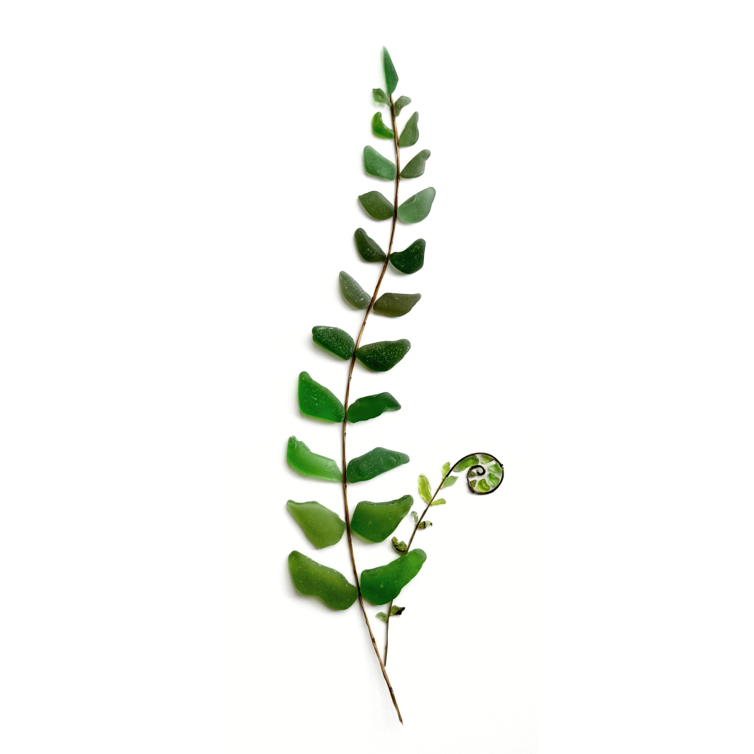 A graceful forest fern created from individually arranged pieces of green sea glass, with a tiny spiral shell beside its stem.