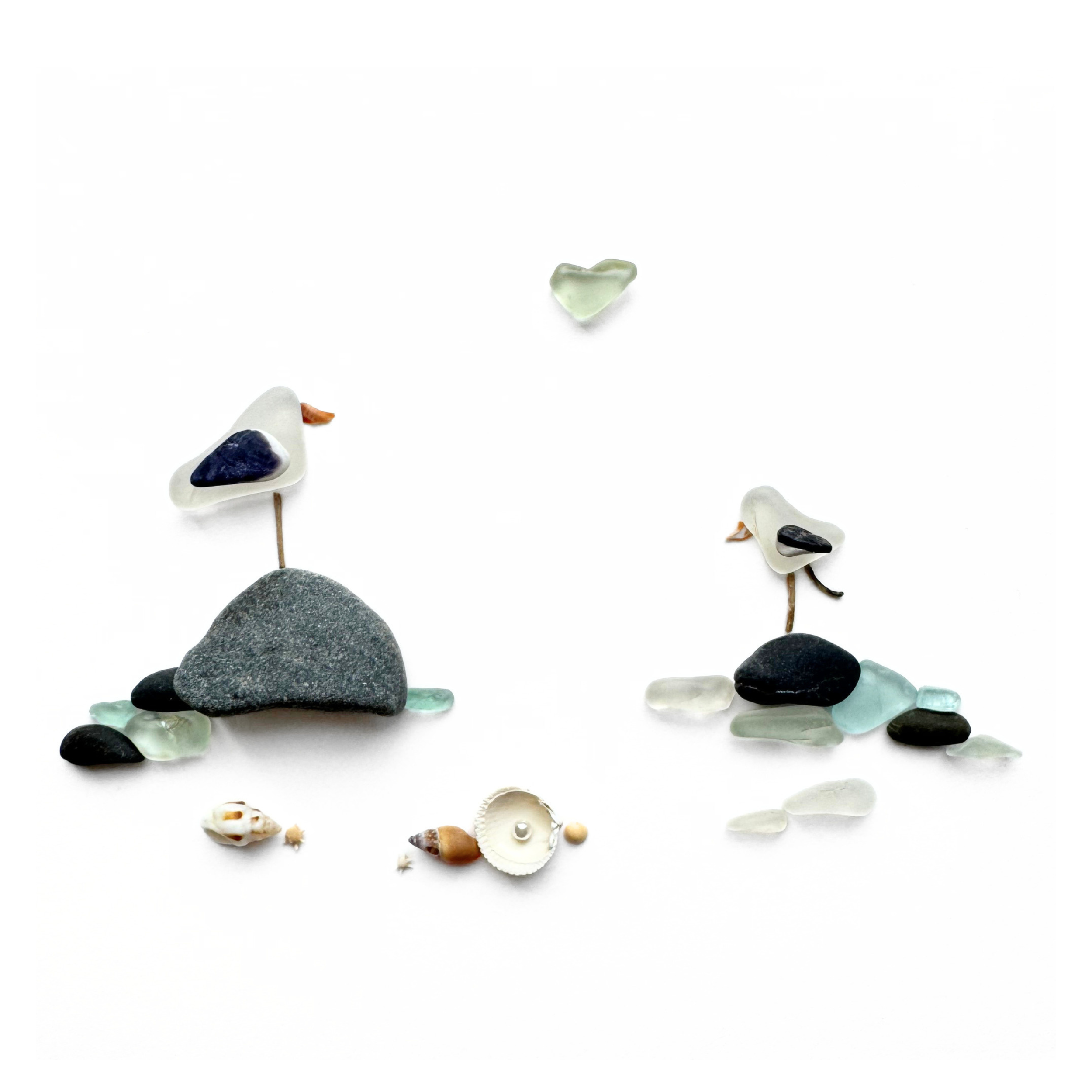 Sea turtle swimming above an ocean floor of shells, beach stones, sea glass, and preserved seagrass.