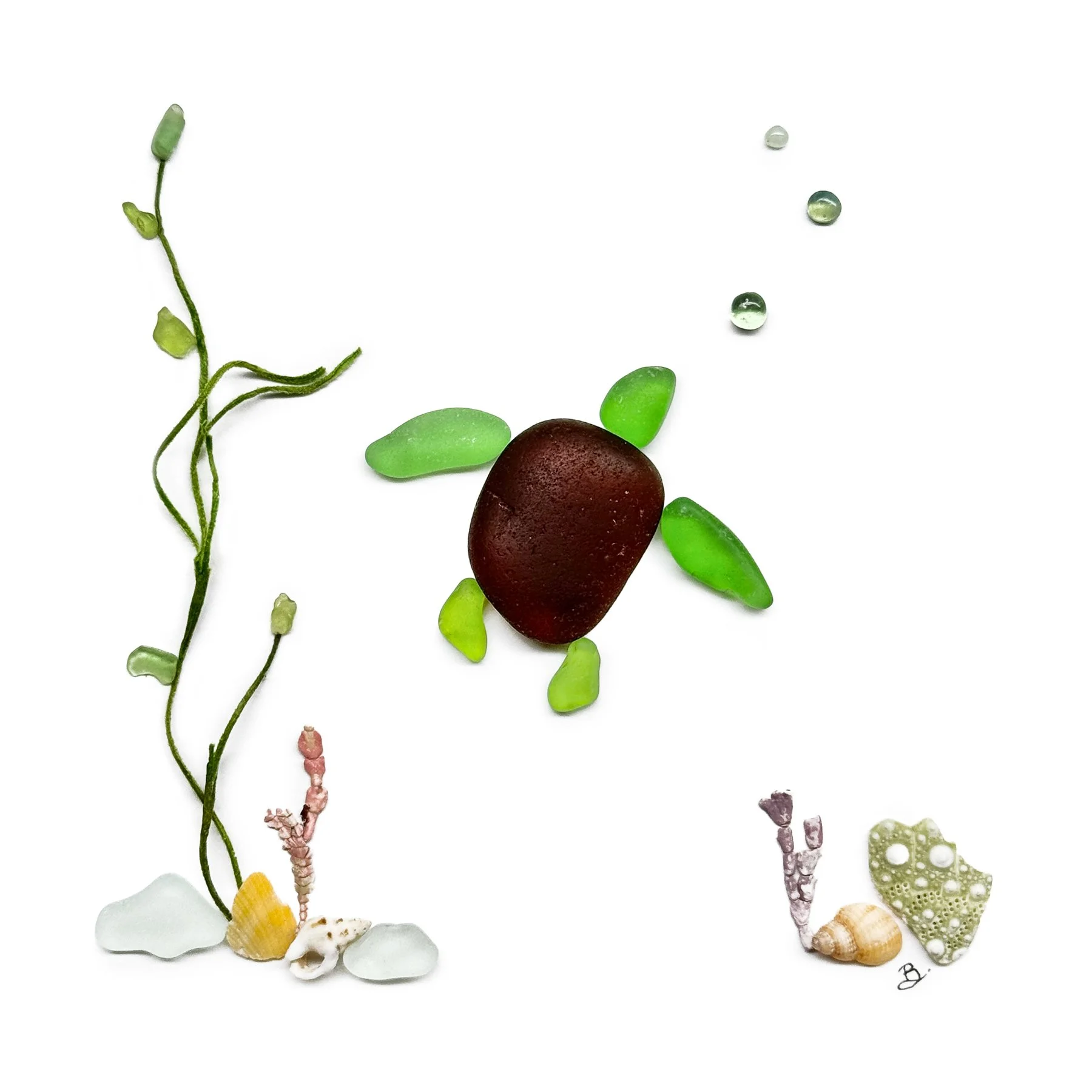 The Coastal Collection