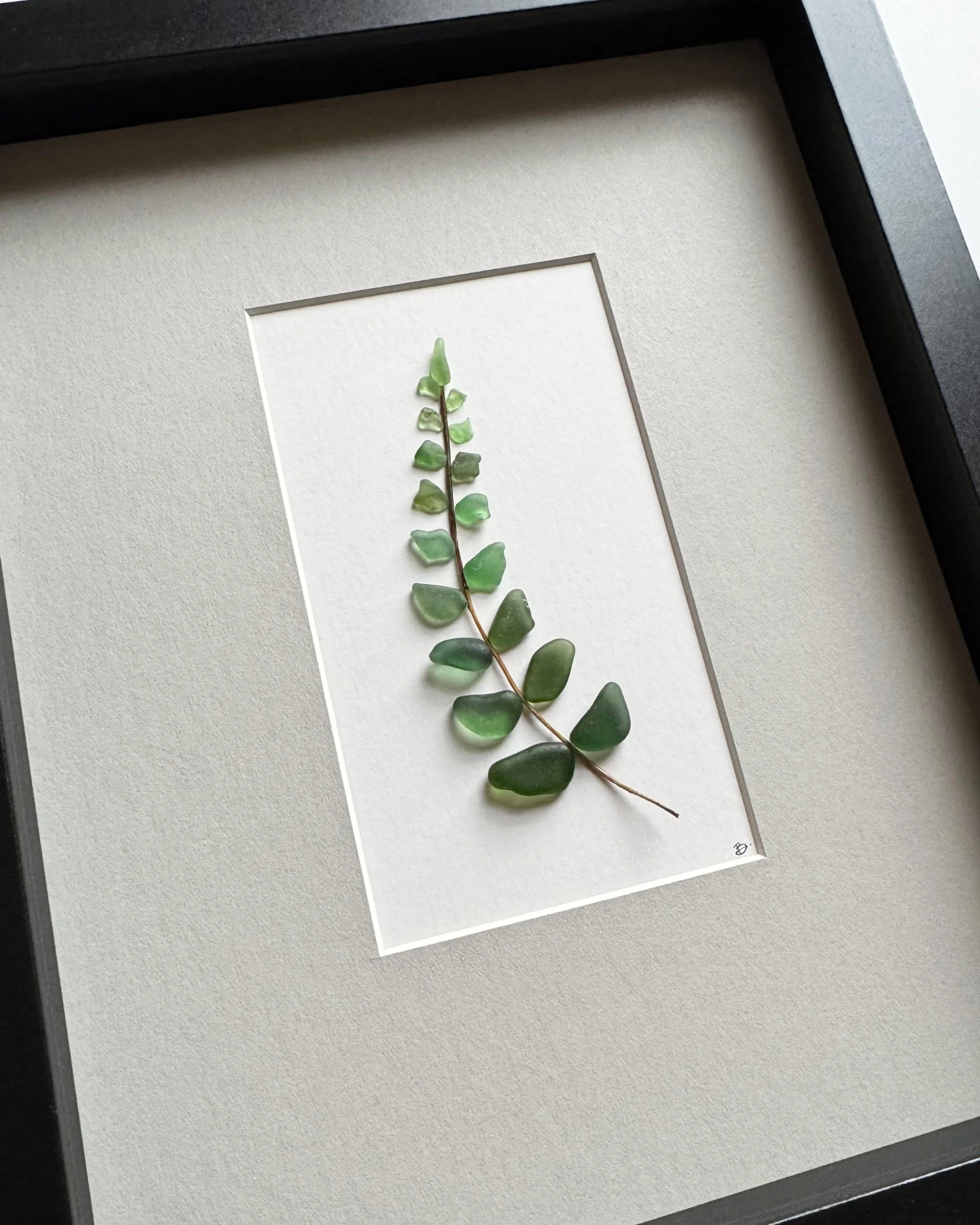emerald-fern-angled.jpg