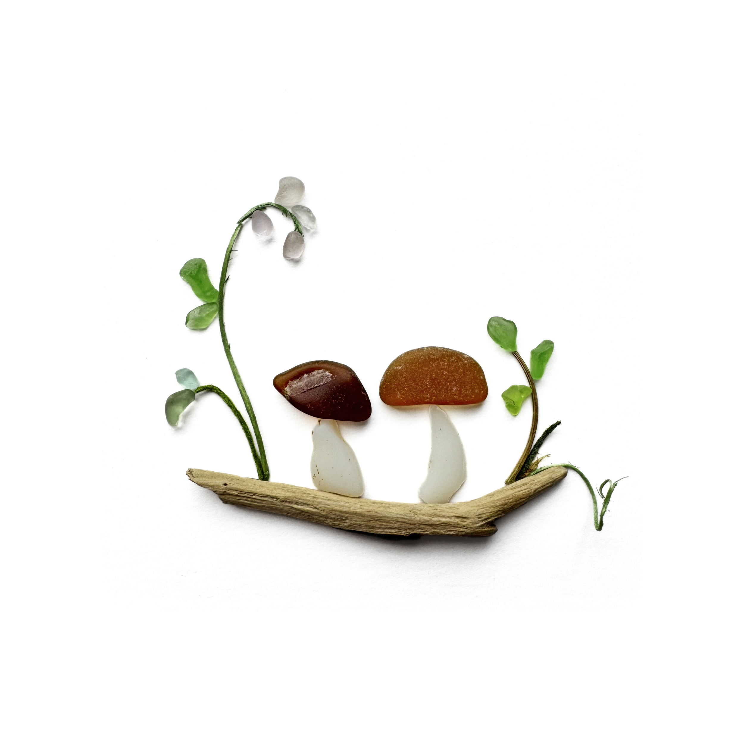 Two dark-capped mushrooms grow from a curved piece of driftwood beneath a delicate woodland flower.