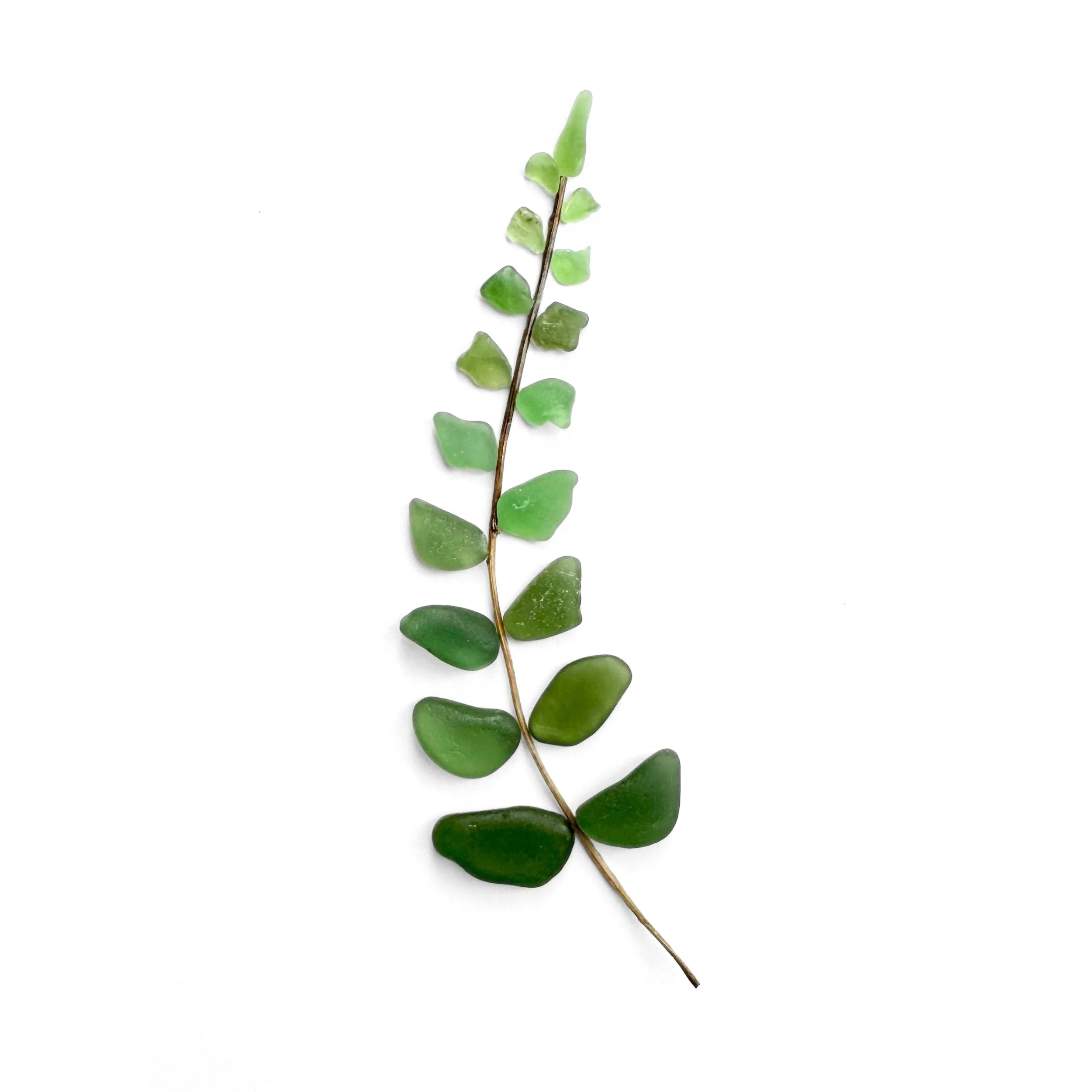Original sea glass fern artwork featuring a slender natural stem with green sea glass leaves graduating from deep emerald at the base to pale spring green at the tip against a white background.