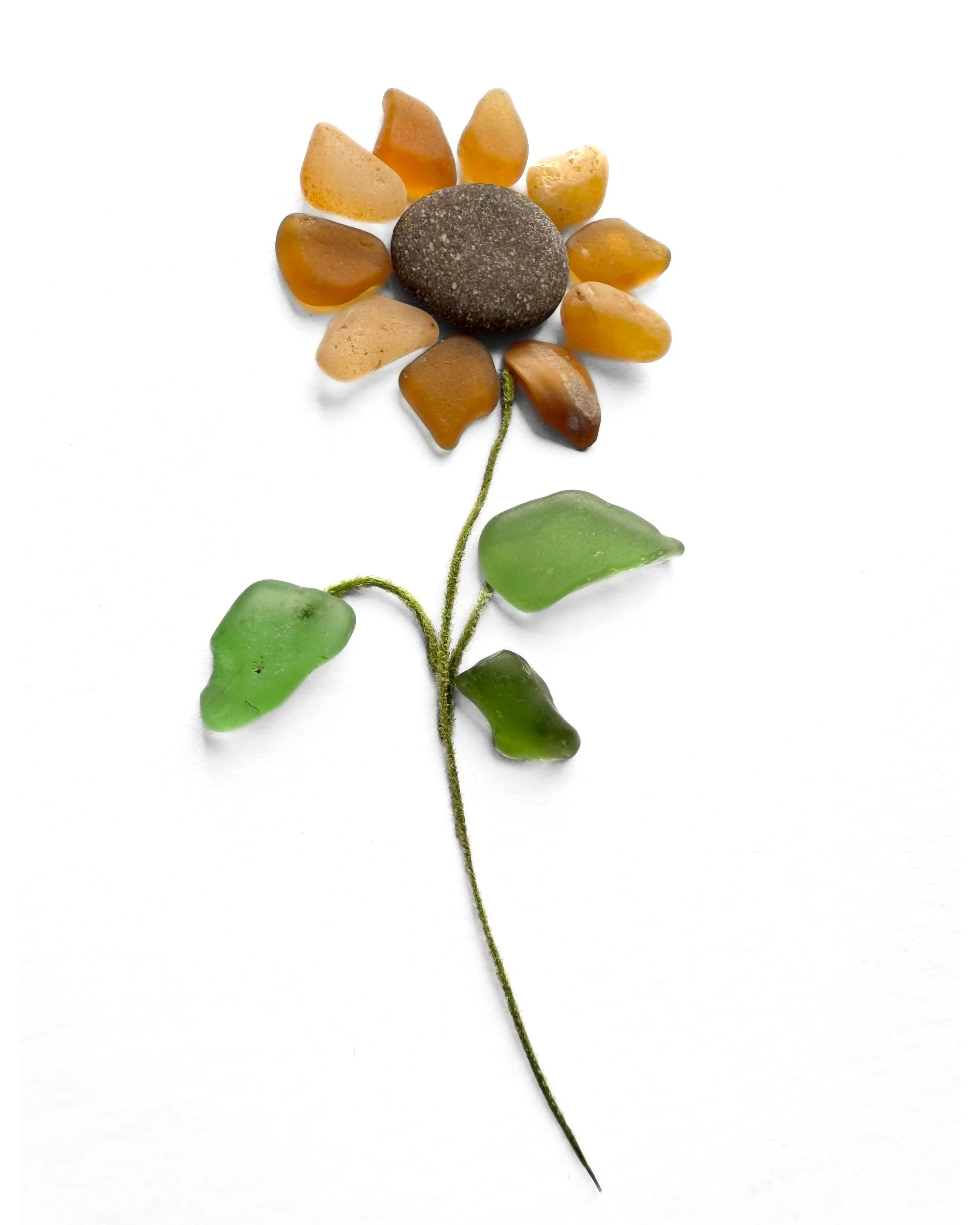 autumn-sunflower-closeup.jpg