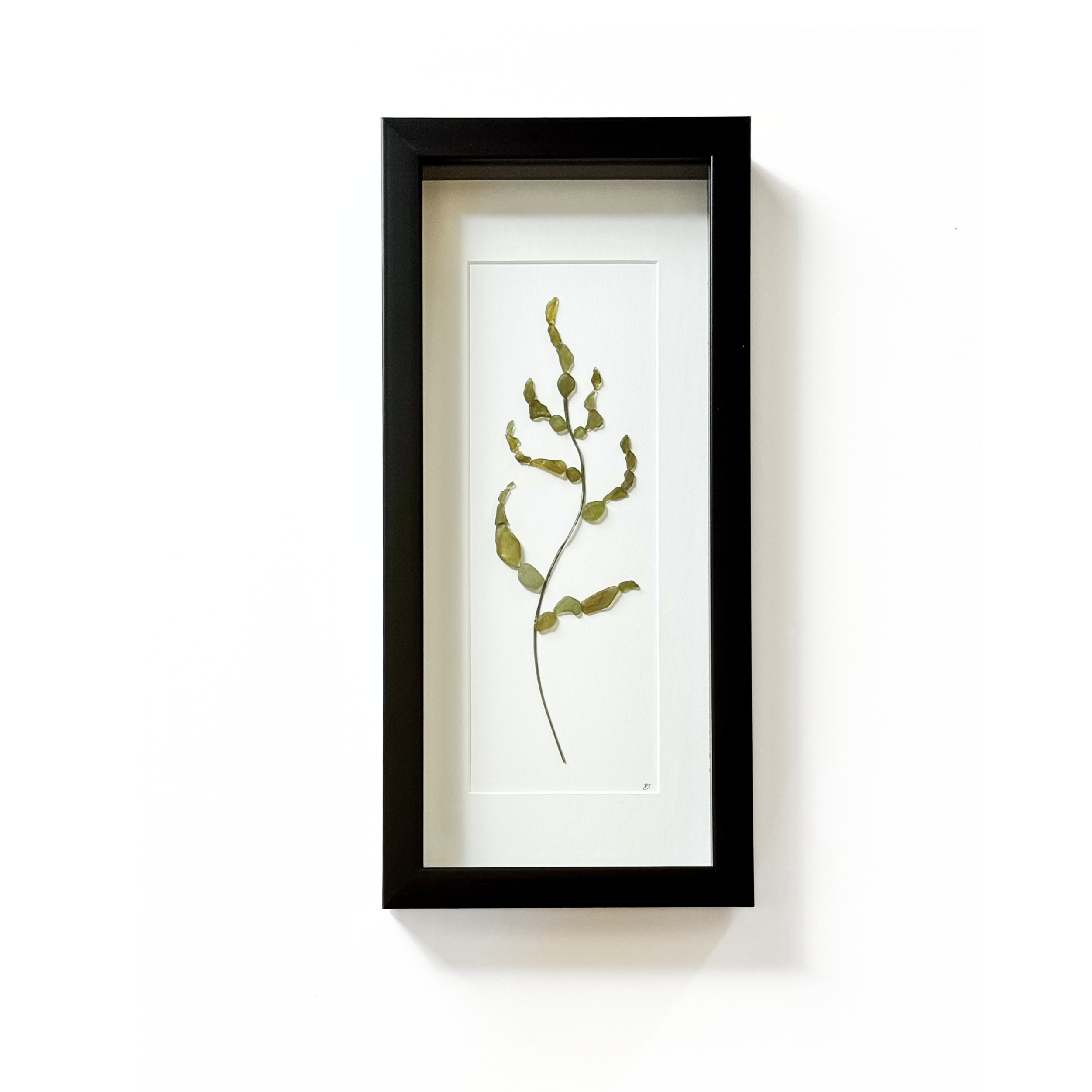 Framed sea glass kelp artwork presented in a tall black shadow box.