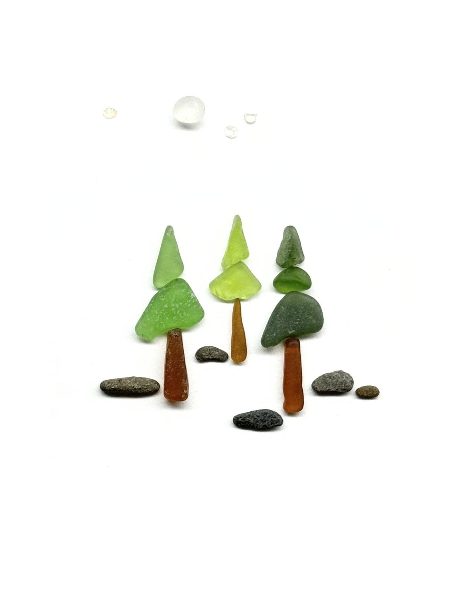 Forest Collection