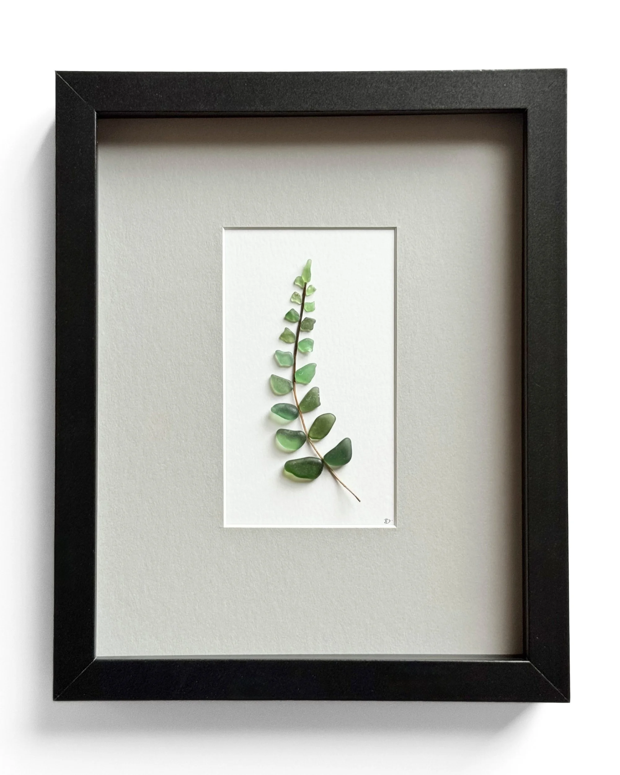 emerald-fern-framed.jpg