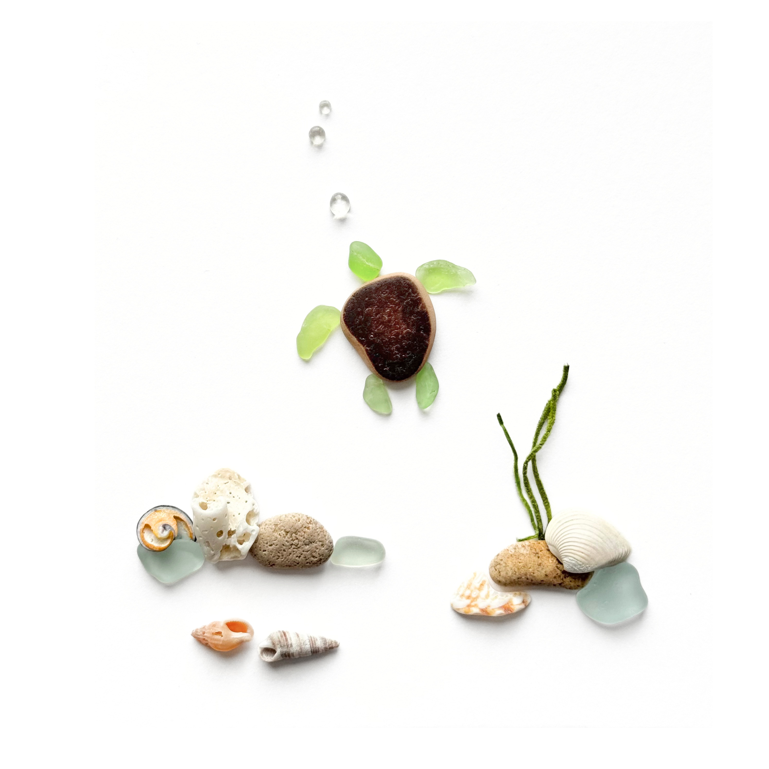 Sea turtle swimming above an ocean floor of shells, beach stones, sea glass, and preserved seagrass.