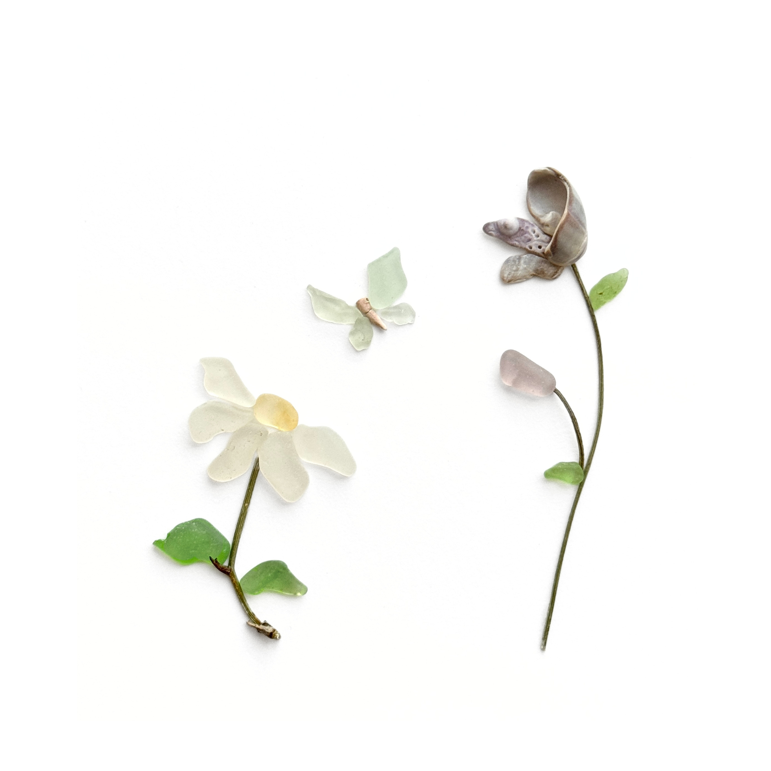 White daisy and purple wildflower with a pale aqua butterfly on a white background.