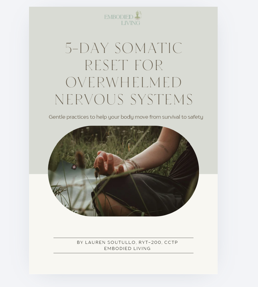 Book cover titled '5-Day Somatic Reset for Overwhelmed Nervous Systems' with a photo of a person in a grassy outdoor setting practicing meditation or mindfulness.