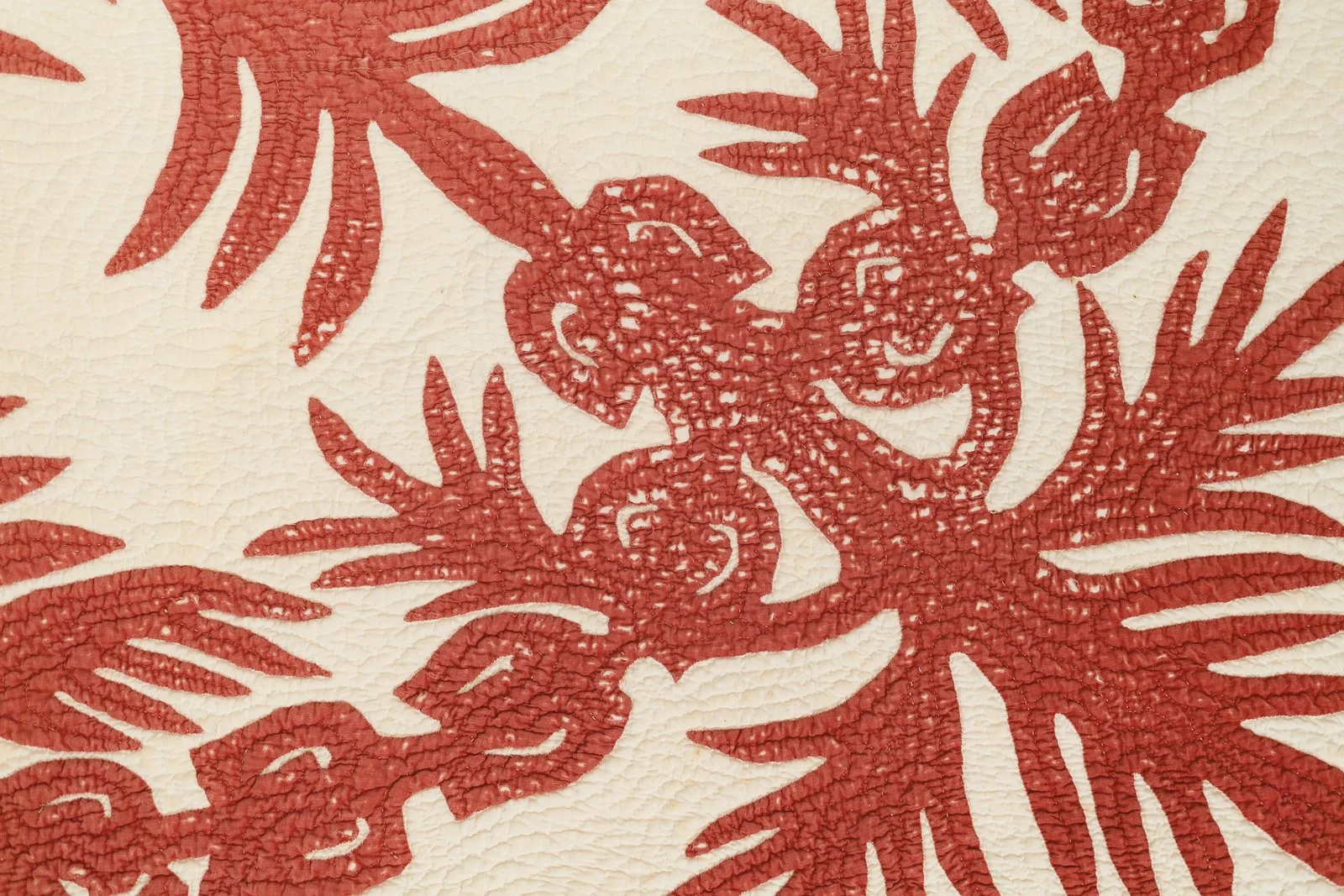 25.10.18_PC _KapaKuiki-81.jpg